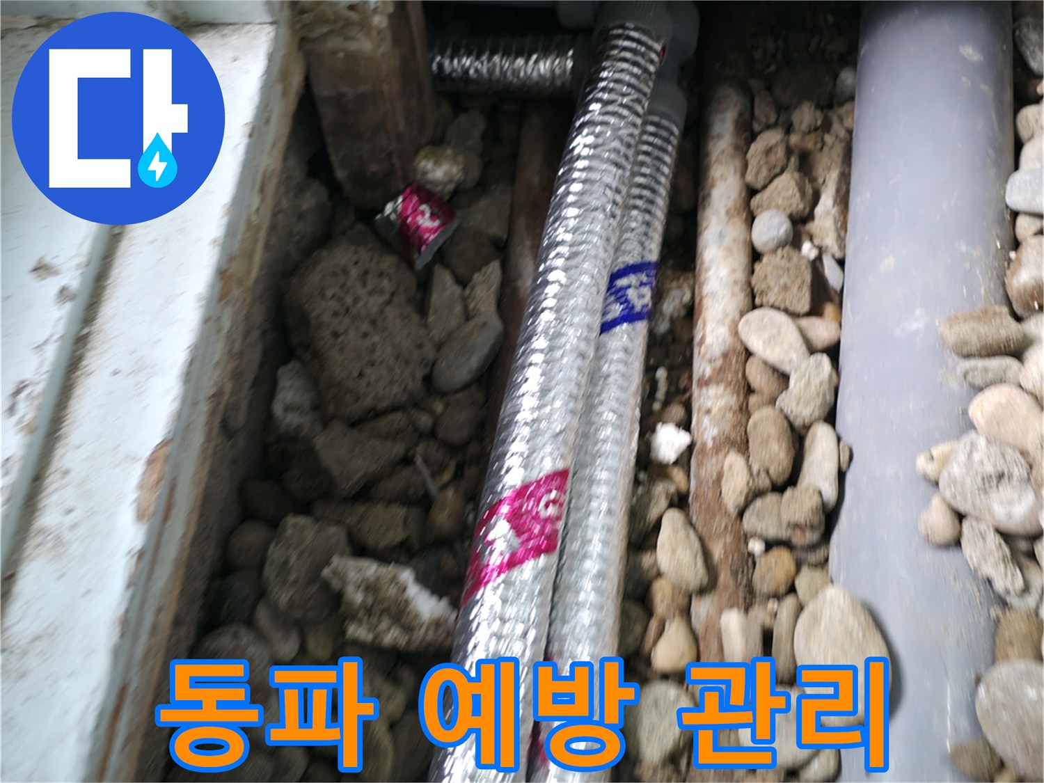서초구 서초2동 누수 현장 - 겨울철 동파 예방을 위한 꼼꼼한 배관 관리! 미리미리 대비하세요.