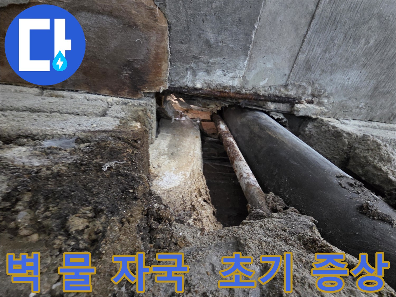 서초구 서초동 누수 - 오래된 배관의 최후, 누수 해결 과정을 공개합니다