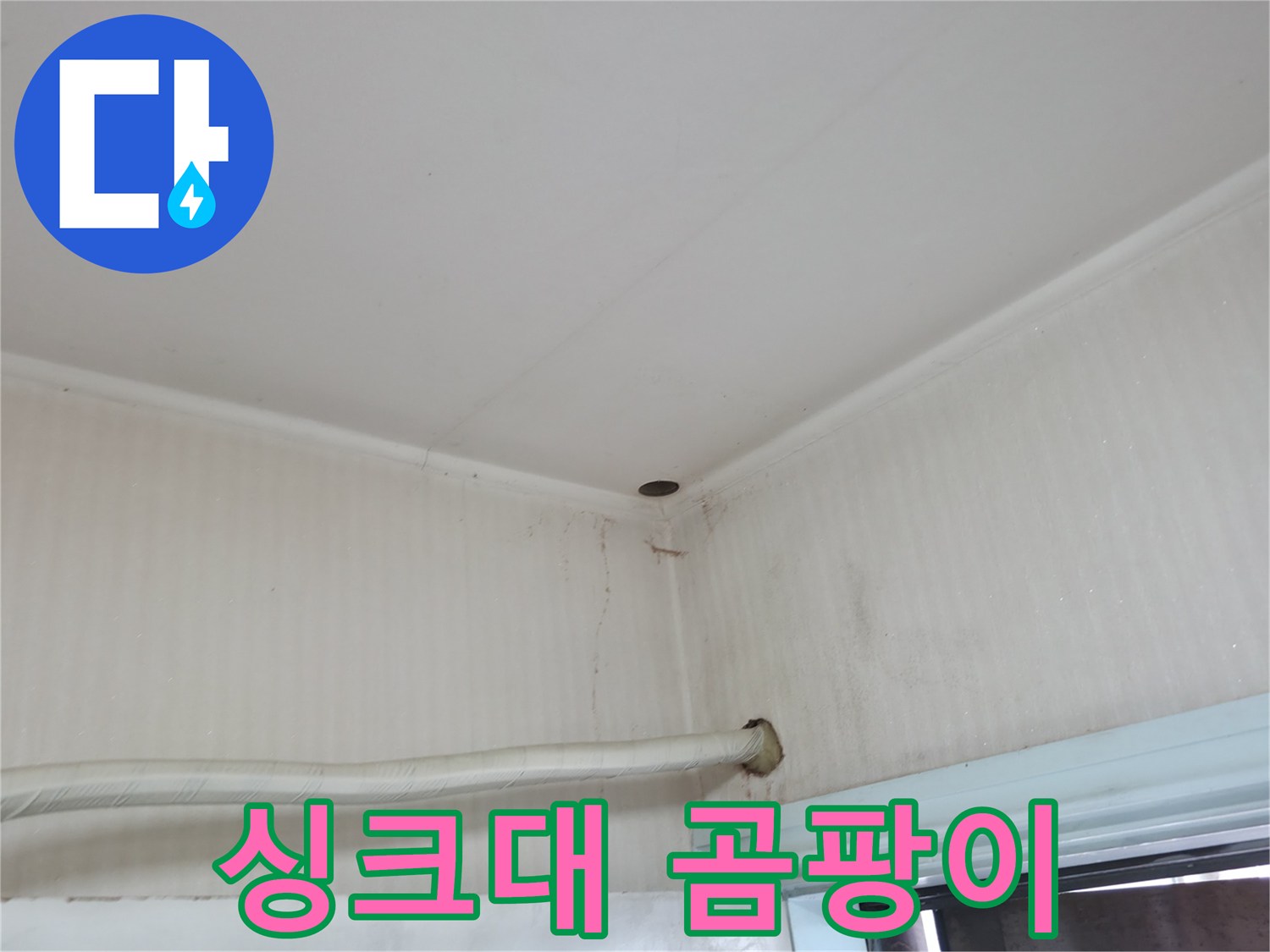 서초구 서초2동 명달로4길 누수 - 싱크대 배수구 주변 곰팡이는 불쾌한 냄새의 원인이 될 수 있습니다.