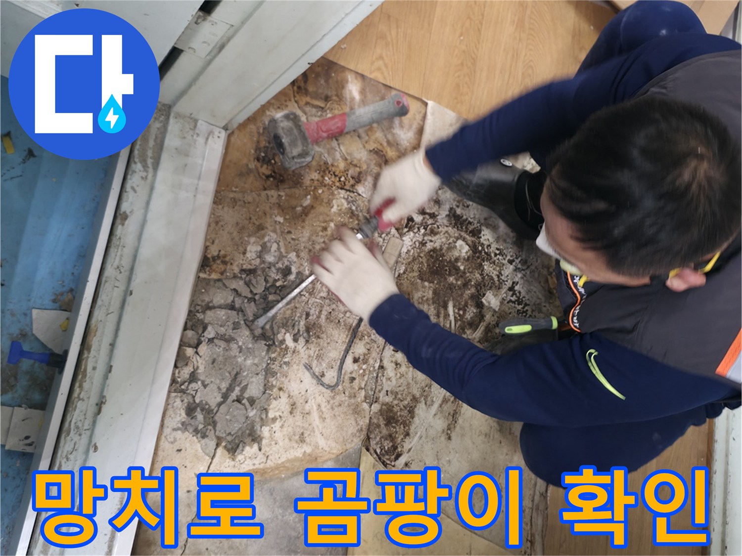 서초구 서초2동 명달로4길 - 망치를 사용하여 바닥을 깨고 곰팡이 천국을 확인하는 모습입니다 - 곰팡이 천국 공개!
