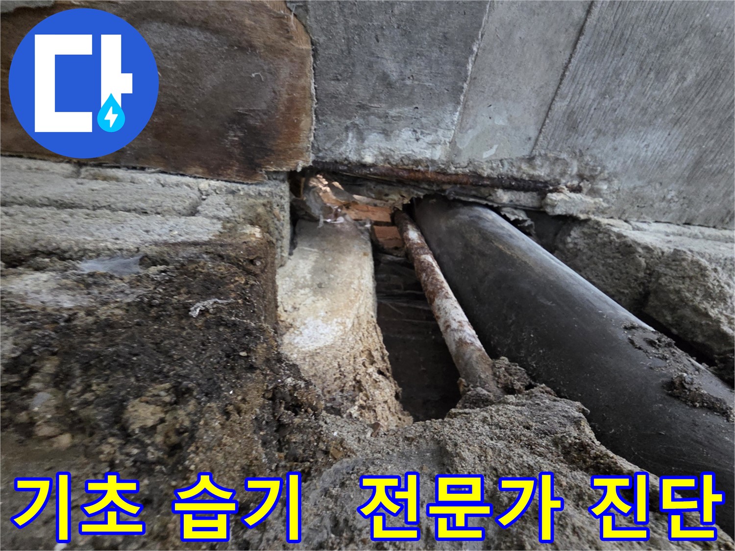 서초구 서초동 명달로4길 누수 - 건물 기초 부위 습기, 누수 전문가의 정확한 진단으로 해결합니다 - 기초 습기는 건물 안전의 적신호입니다.