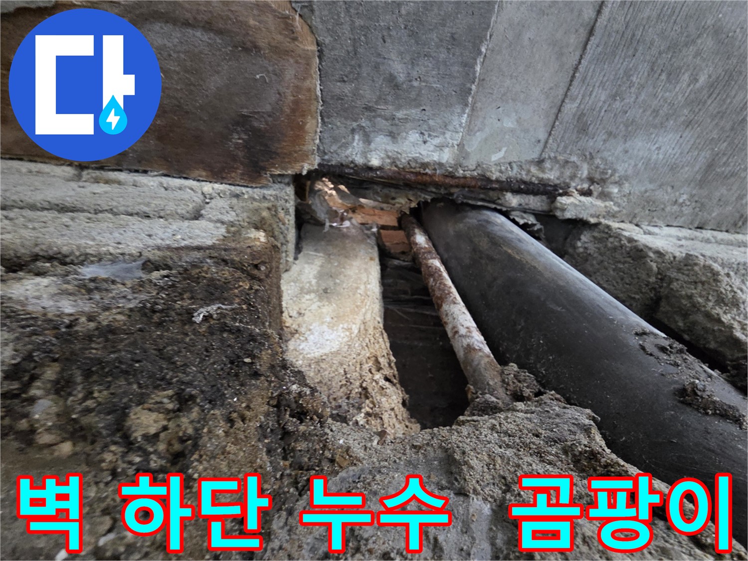 서초동 명달로4길 누수 - 건물 벽 하단 누수, 곰팡이 발생은 건강의 적신호입니다 - 곰팡이는 호흡기 질환을 유발합니다.