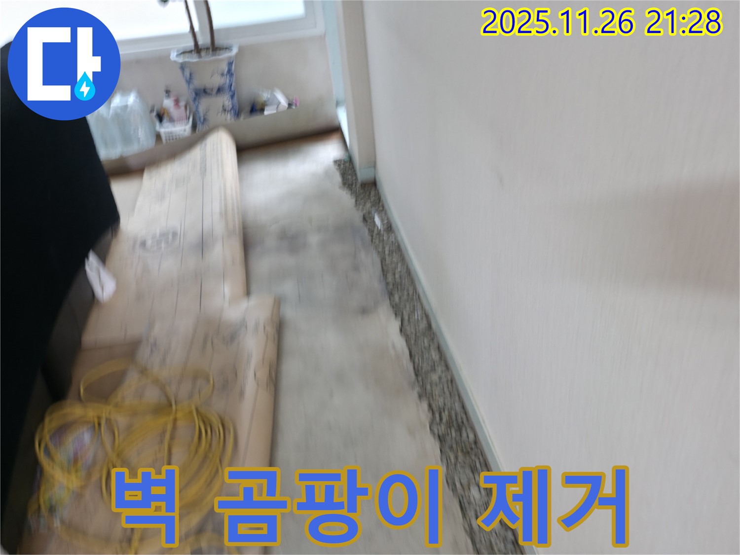 서초동 명달로4길 주택 누수 - 벽에 핀 곰팡이, 깨끗하게 청소하고 습기까지 싹!