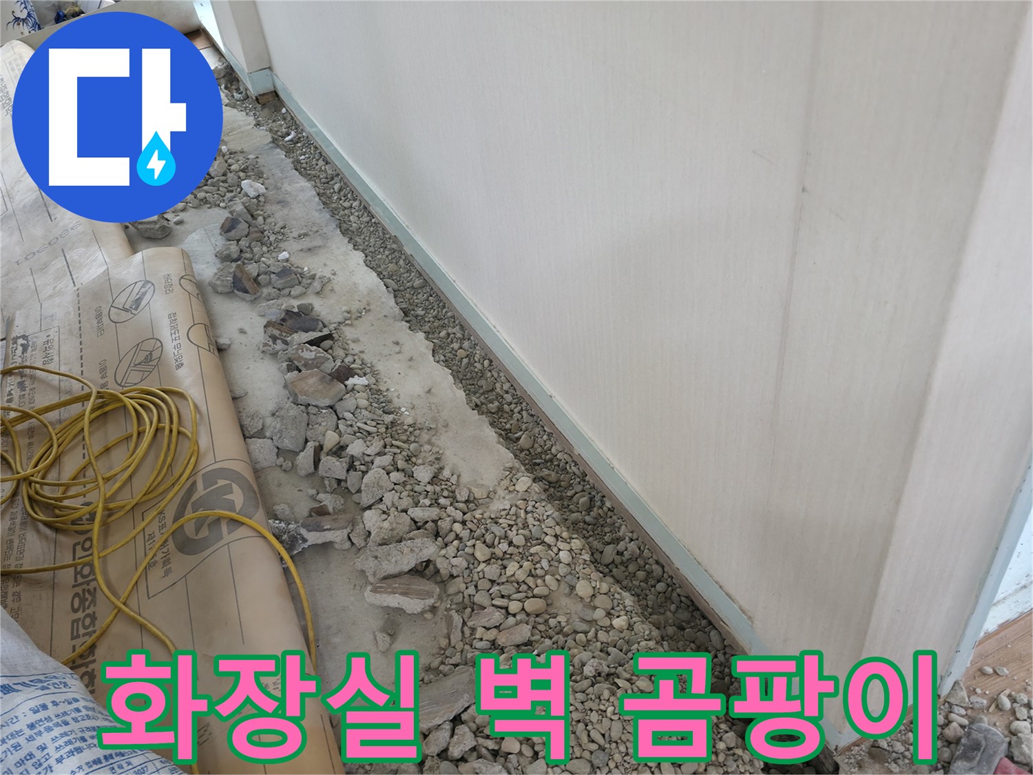 양재동 누수 - 화장실 벽 곰팡이, 빠른 누수 탐지로 해결