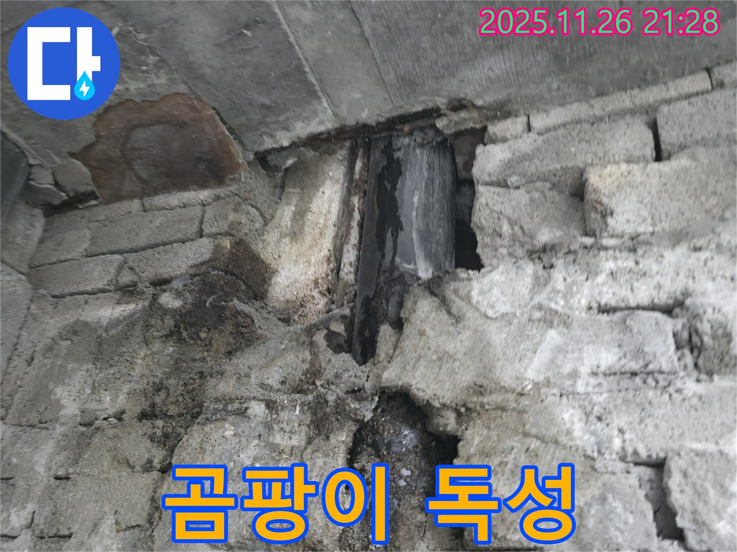 외벽 누수 곰팡이 독성 - 외벽 누수로 인해 곰팡이가 발생하고 곰팡이 독성 물질이 퍼져 건강을 위협하고 있습니다.