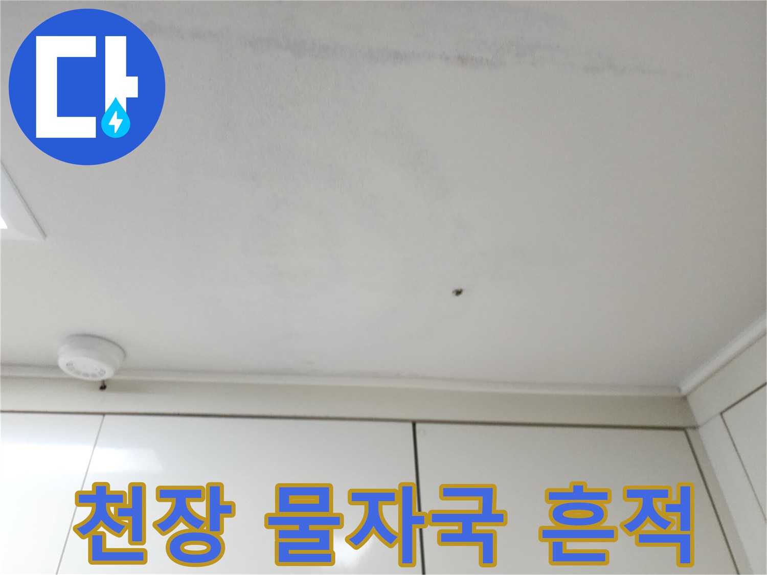 매끄러운 천장 표면에 나타난 불규칙한 형태의 습기 자국