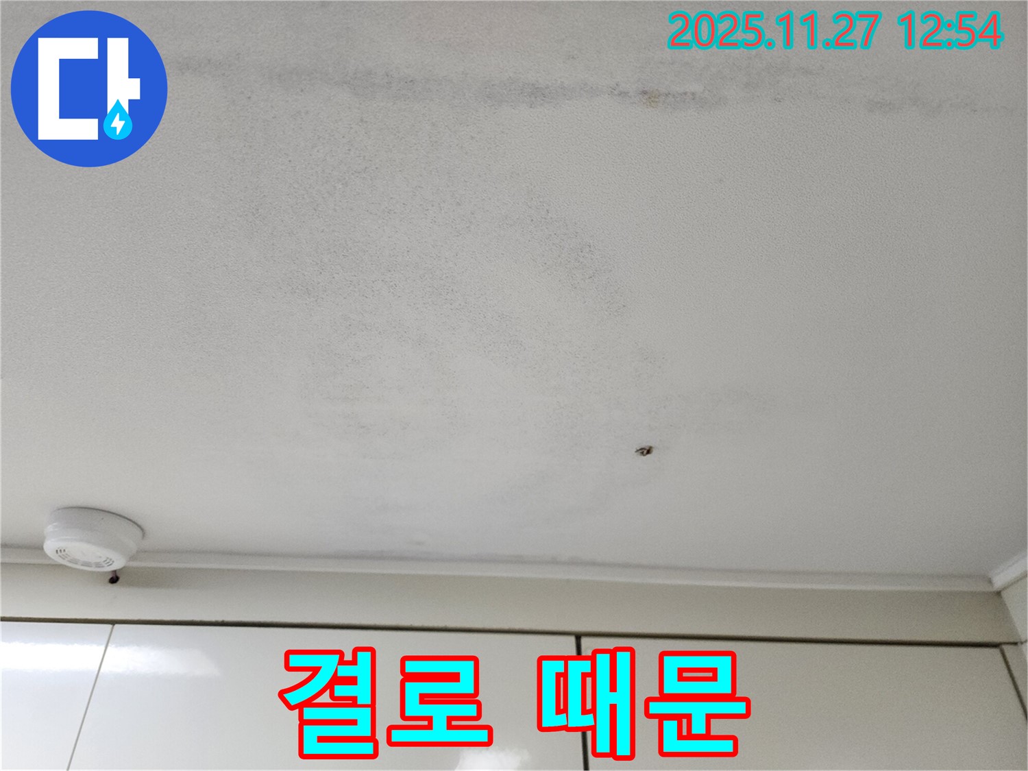 포천 신북면 삼정리 - 곰팡이, 겨울철 결로 현상과의 연관성