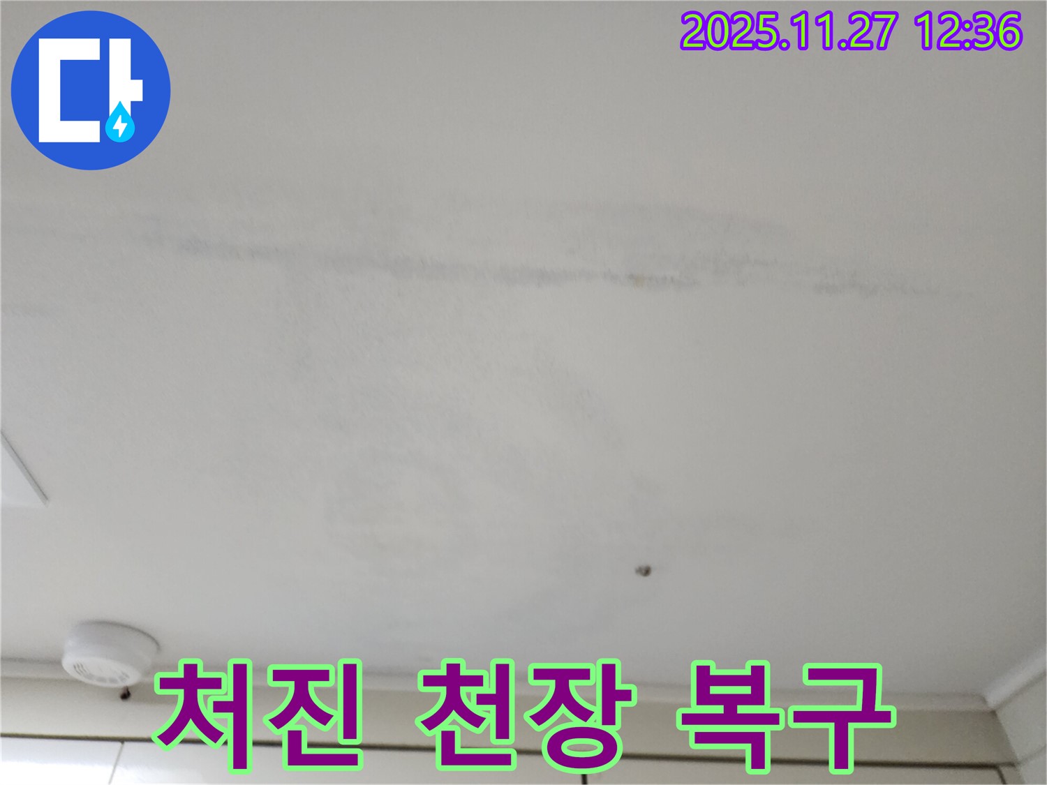 포천 신북면 삼정리 천장 누수 - 젖어 처진 천장, 긴급 복구 작업