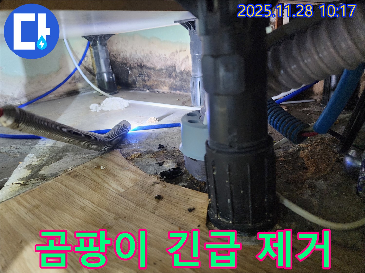경기도 포천시 신북면 금동리 - 욕조 하부 곰팡이가 심각하여 긴급 점검 및 완벽한 곰팡이 제거를 약속드립니다.