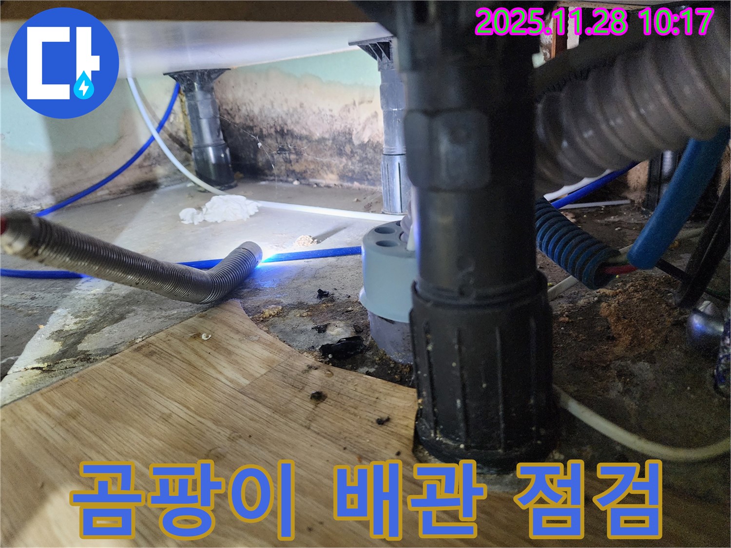 경기도 포천시 신북면 금동리 - 욕조 하부의 곰팡이 발생 상태와 배관 상태를 꼼꼼히 점검하고 있습니다.