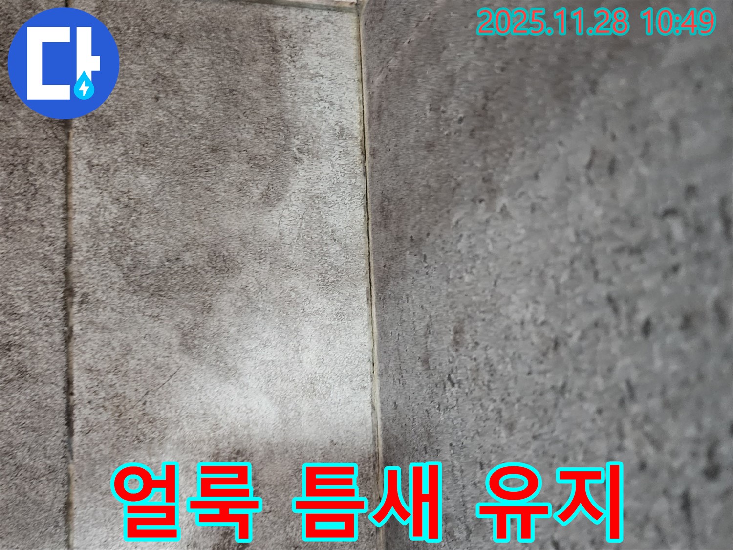 금동리 욕실 누수 - 곰팡이와 물때로 얼룩진 욕실 타일 틈새 곰팡이 제거 후 틈새 방수 코팅으로 오랫동안 깔끔하게 유지!