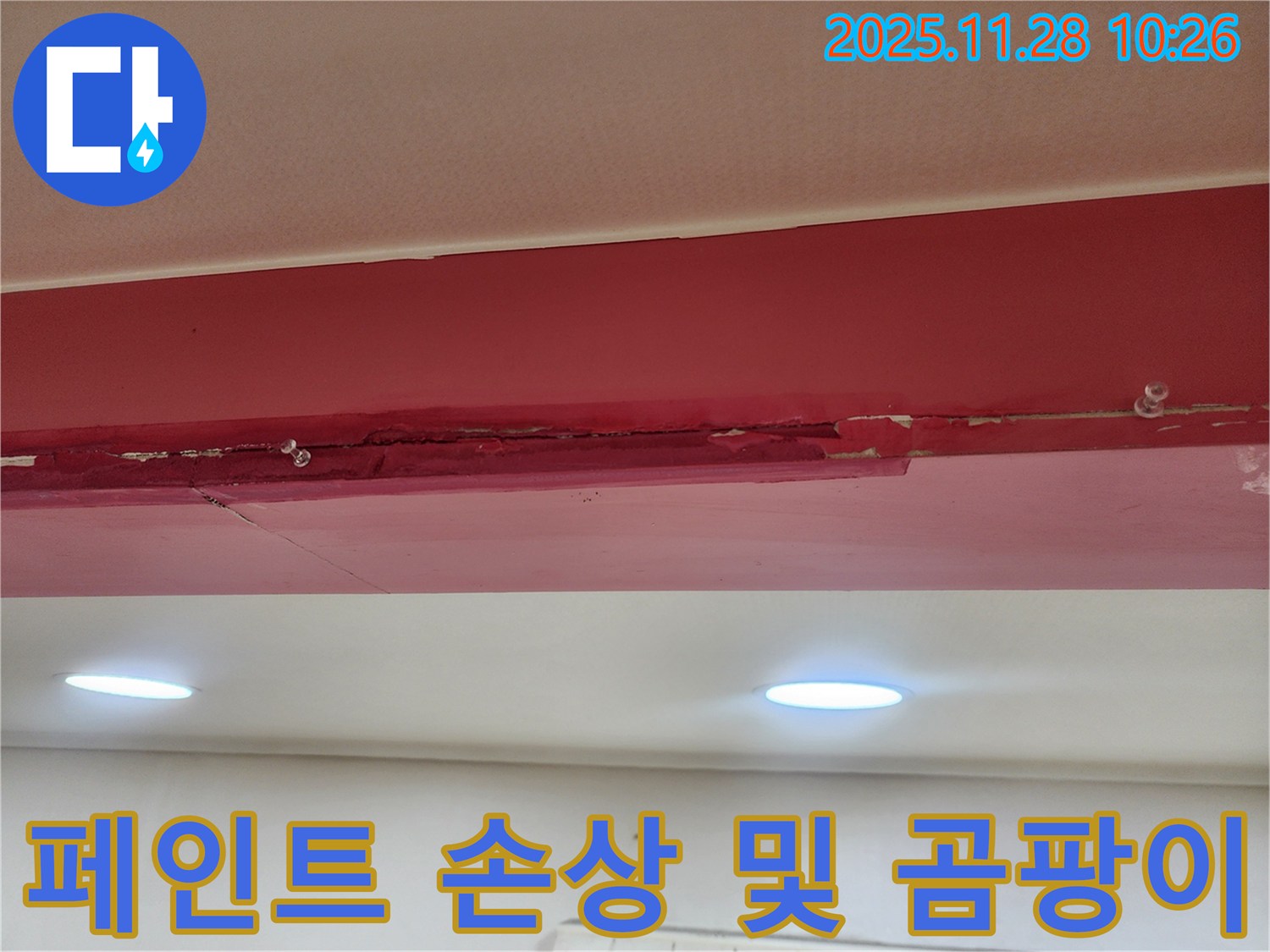 붉은색 천장 페인트 손상 및 곰팡이 - 누수로 인해 페인트가 심하게 손상되고 곰팡이가 광범위하게 발생한 모습입니다.