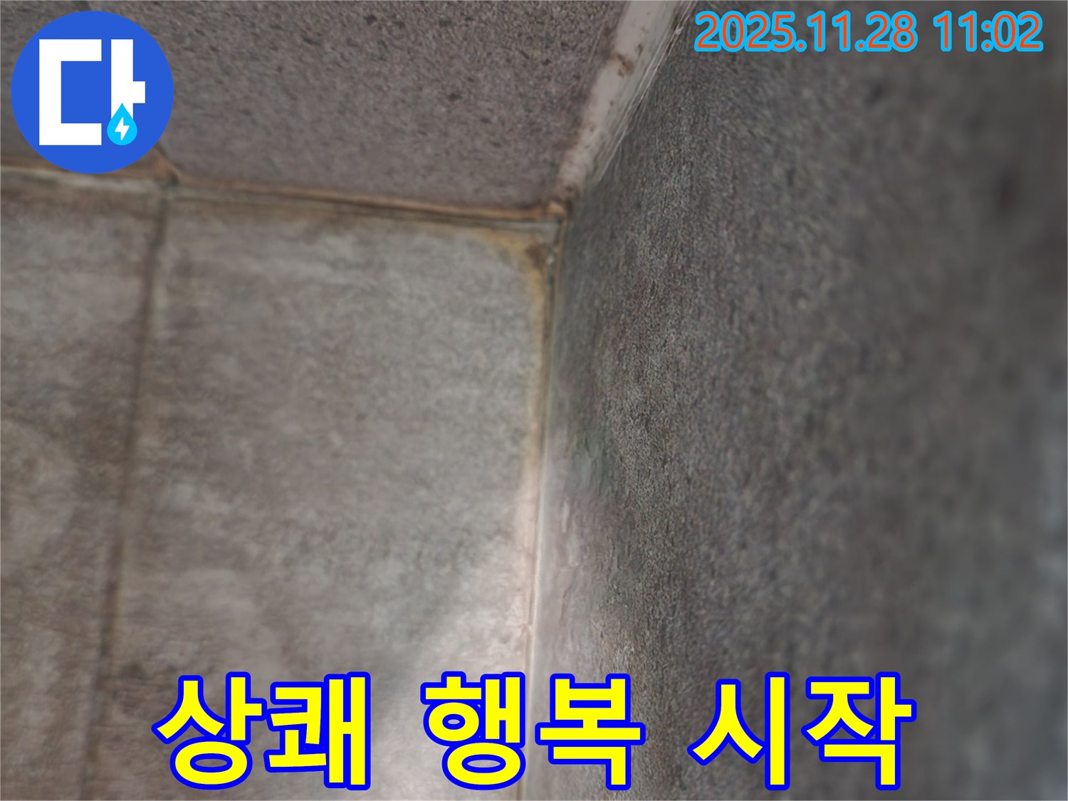 신북면 금동리 욕실 누수 - 곰팡이 탈출, 상쾌한 행복 시작