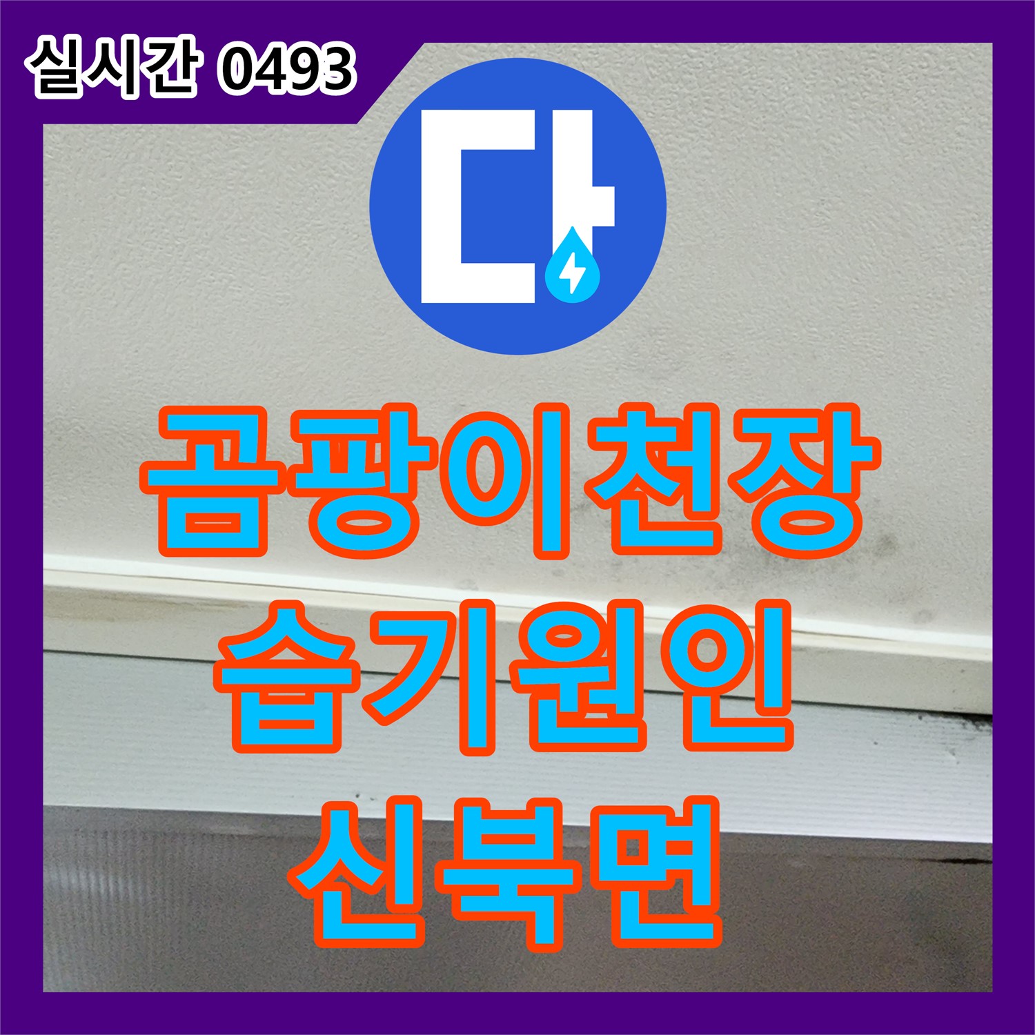 신북면 누수설비업체, 곰팡이 핀 천장, 습기 원인부터 확실하게 잡아드립니다