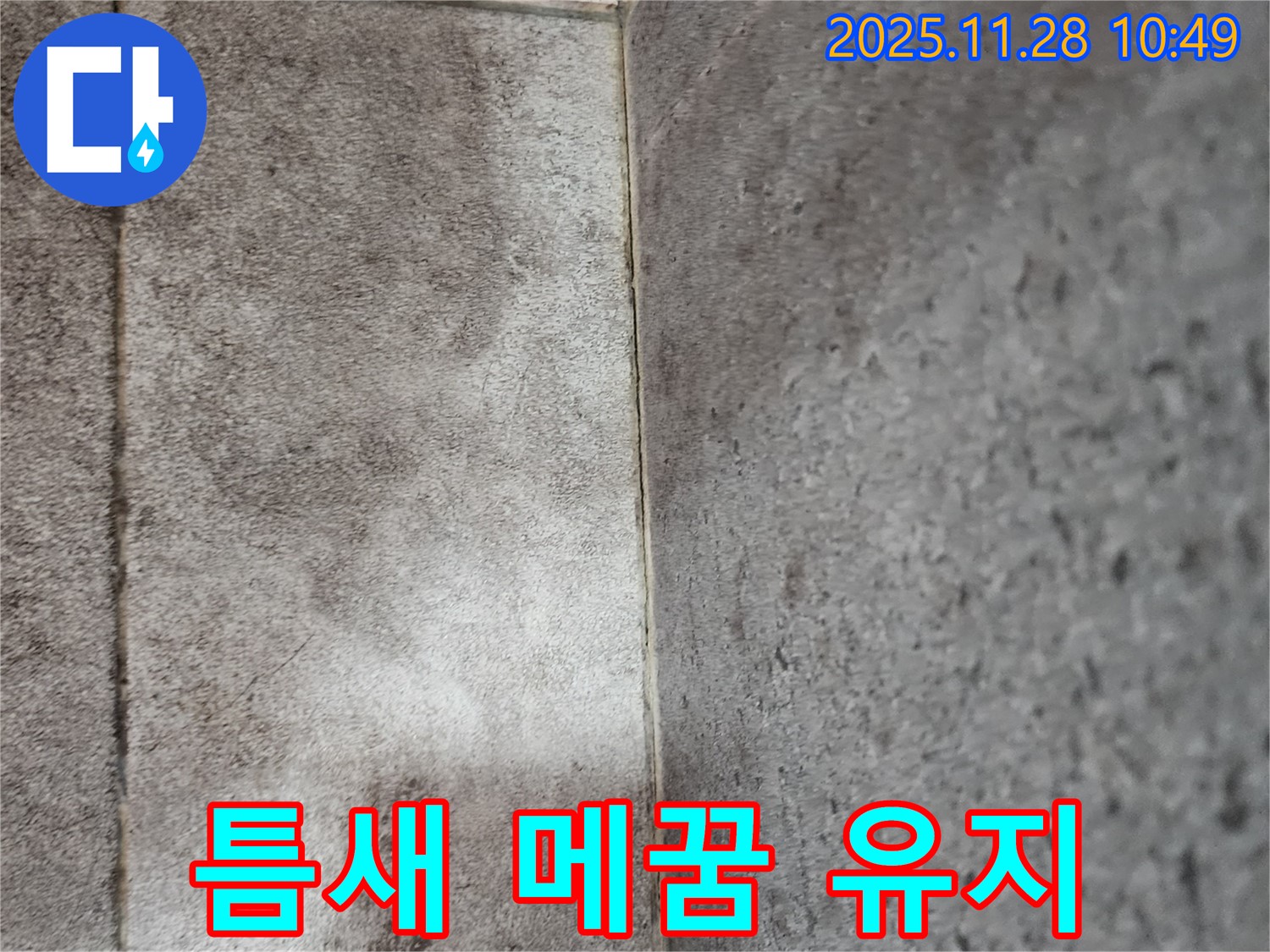 신북면 욕실 곰팡이 누수 - 틈새 메꿈 전문가의 완벽한 시공 후 곰팡이 방지 실리콘 시공으로 오랫동안 곰팡이 걱정 없이 깨끗하게 유지!