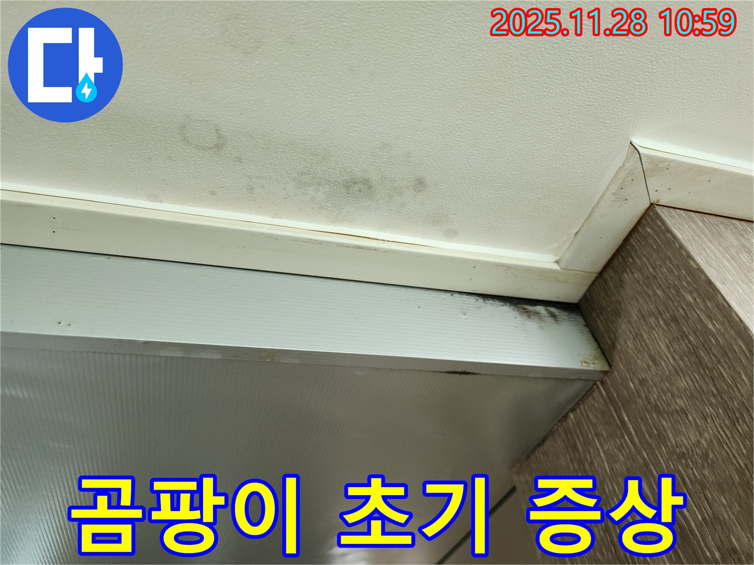 포천 금동리 누수 - 욕실 천장 곰팡이 초기 증상, 긴급 진단