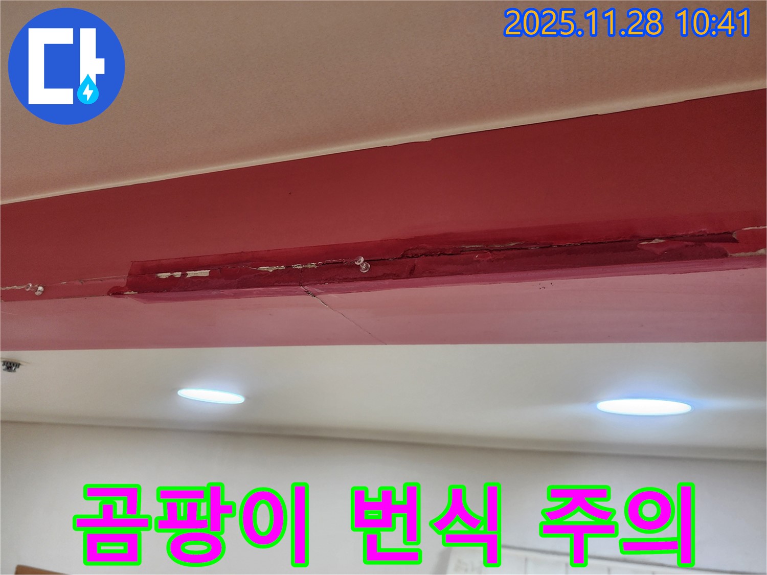 포천 신북면 금동리 000번지 누수 - 젖은 석고보드, 곰팡이 번식에 주의하세요!