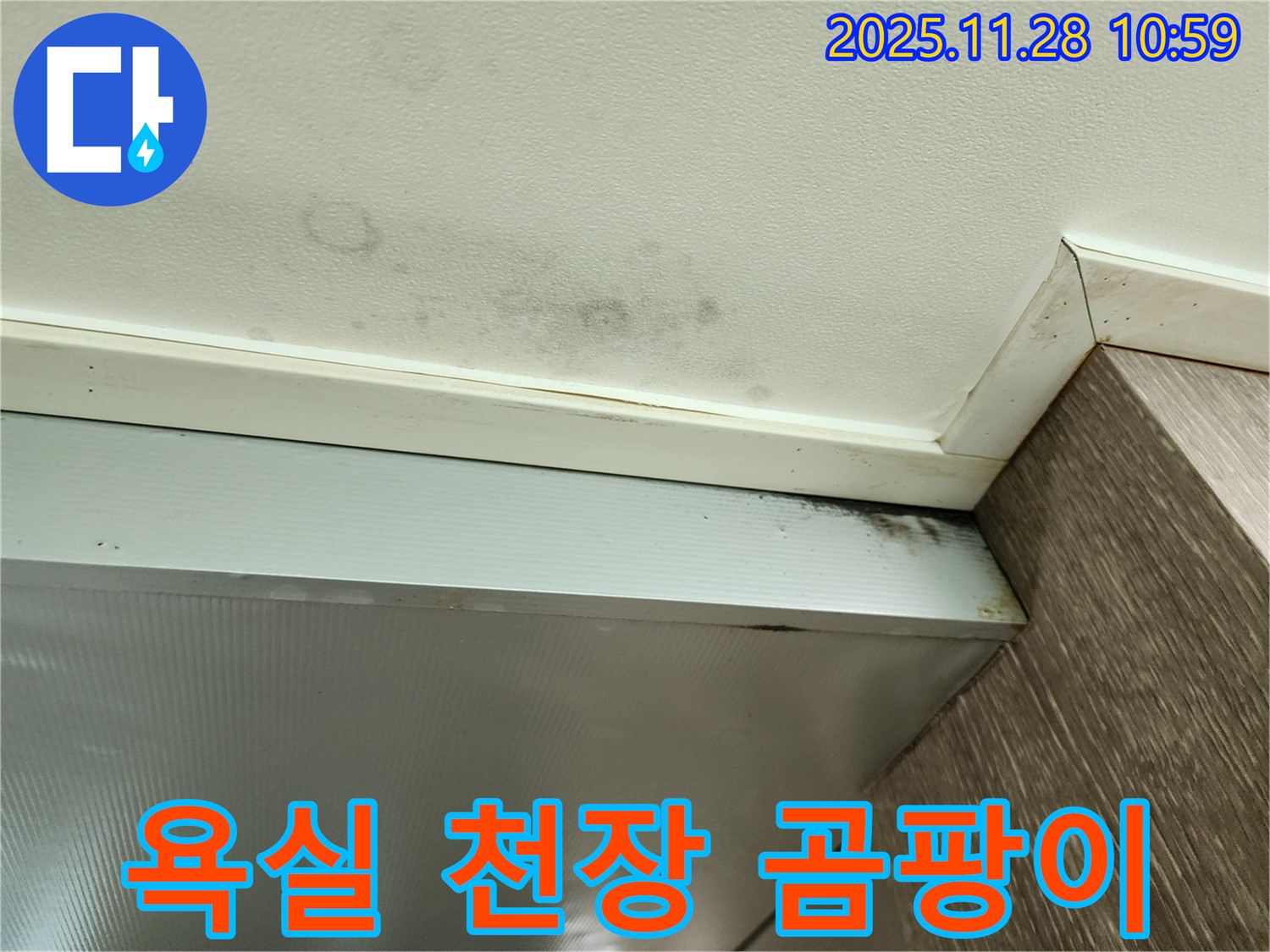 포천 신북면 금동리 누수 - 욕실 천장 곰팡이 발생