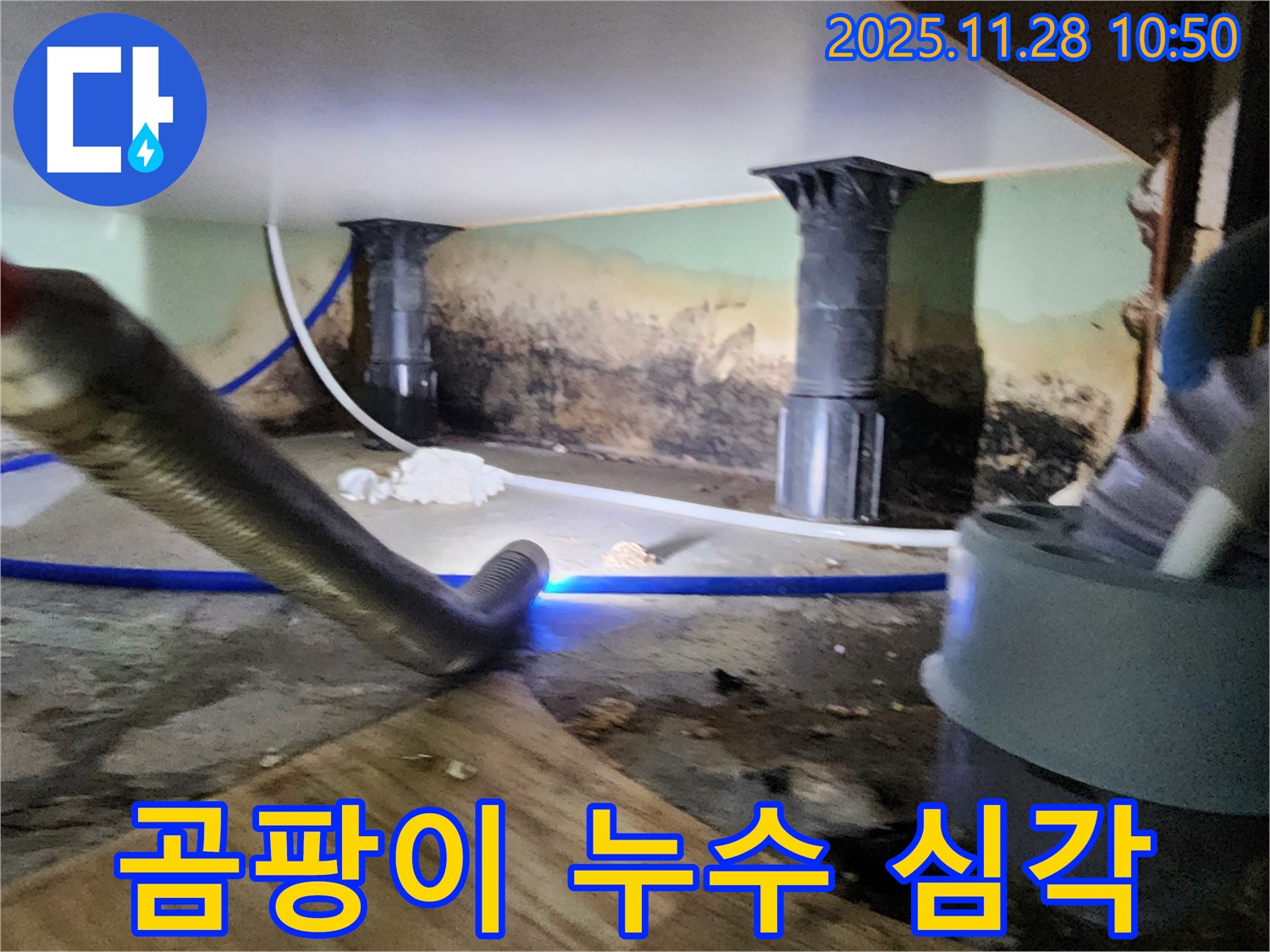 포천 신북면 누수 - 곰팡이가 심각한 누수 현장