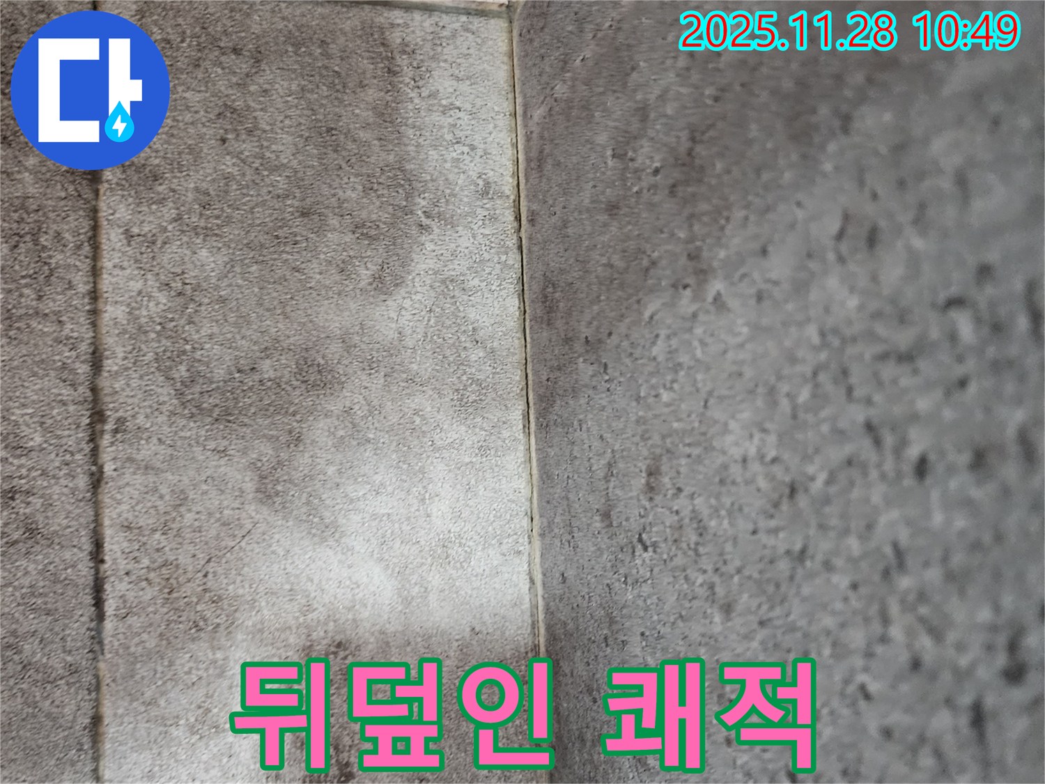 포천 신북면 욕실 곰팡이 누수 - 찌든 때와 곰팡이로 뒤덮인 타일 틈새 곰팡이 제거 후 틈새 방수 코팅으로 곰팡이 걱정 없이 쾌적하게!