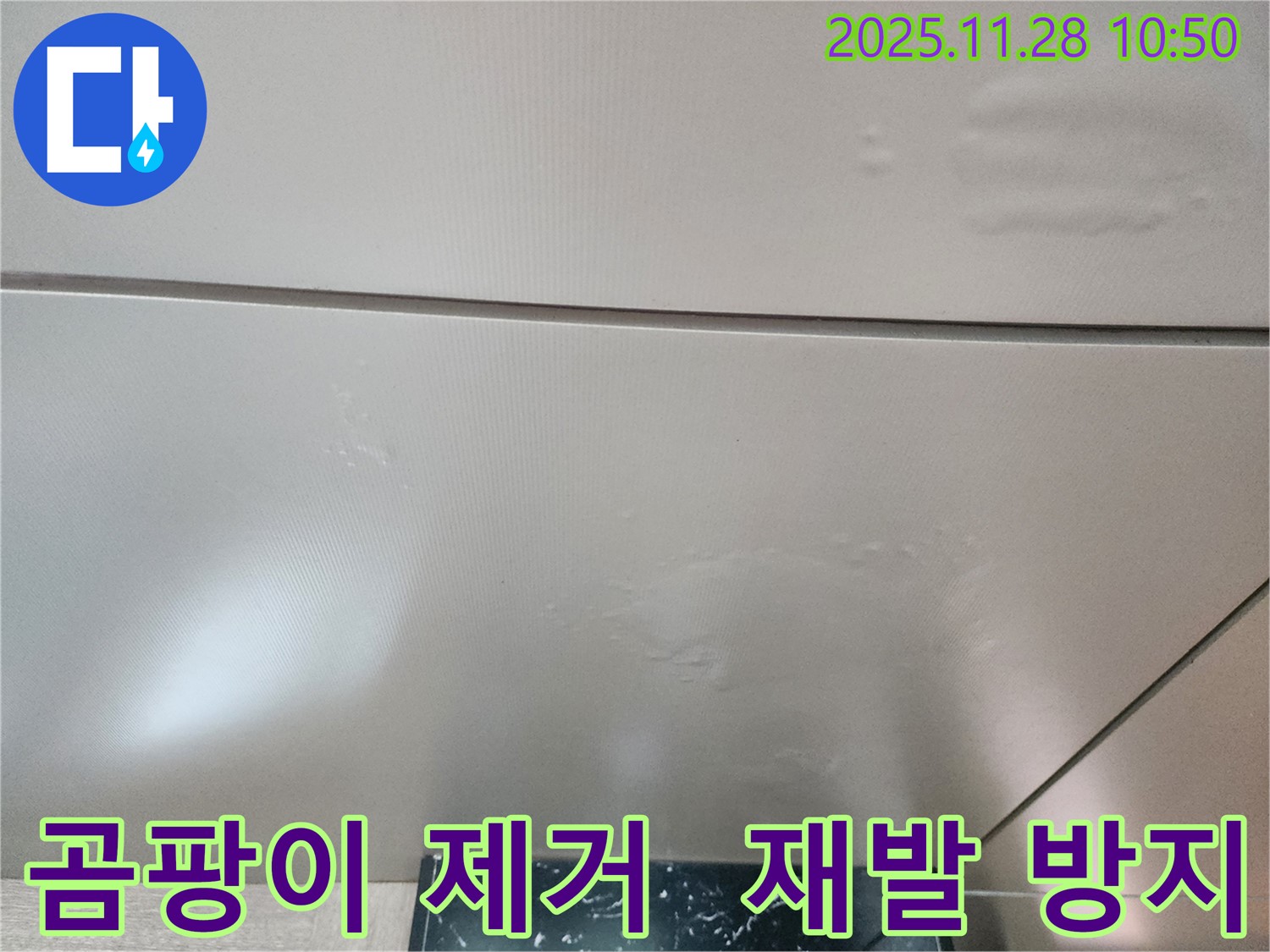 포천시 신북면 금동리 - 곰팡이 문제 완벽 제거 및 재발 방지 솔루션 제공!