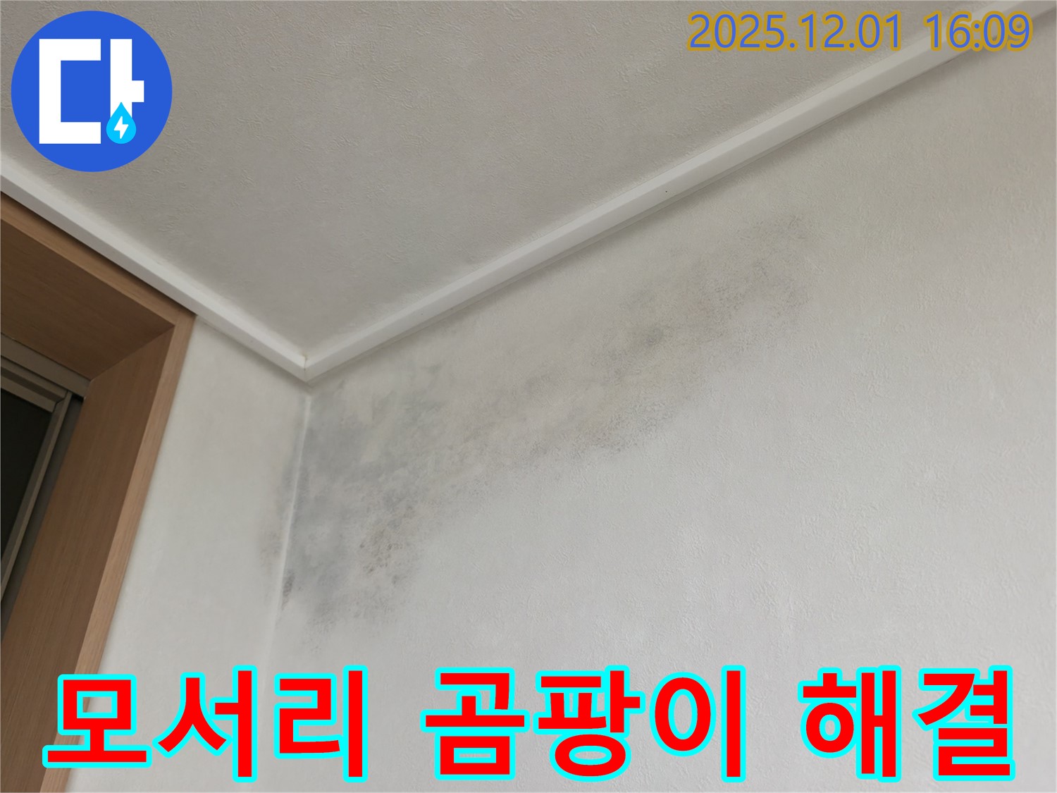 벽 모서리 곰팡이 완벽 해결 - 용인 기흥 누수 공사