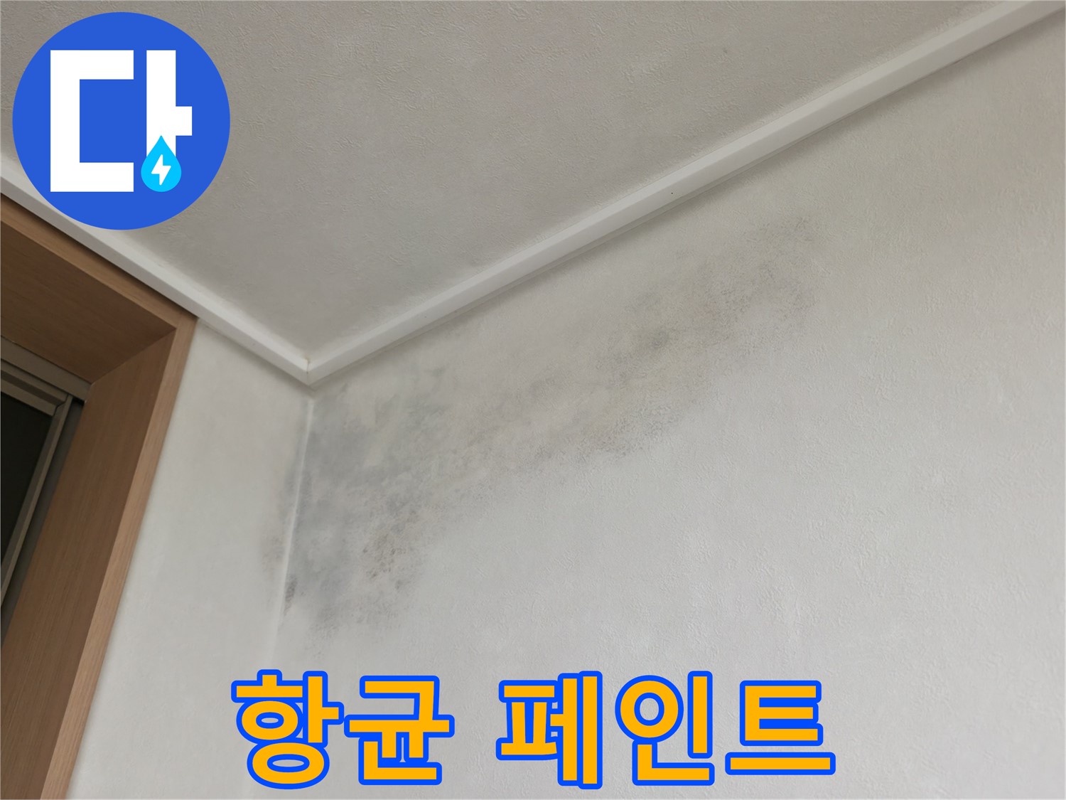 용인 기흥구 누수 공사 - 곰팡이 방지를 위한 항균 페인트 시공