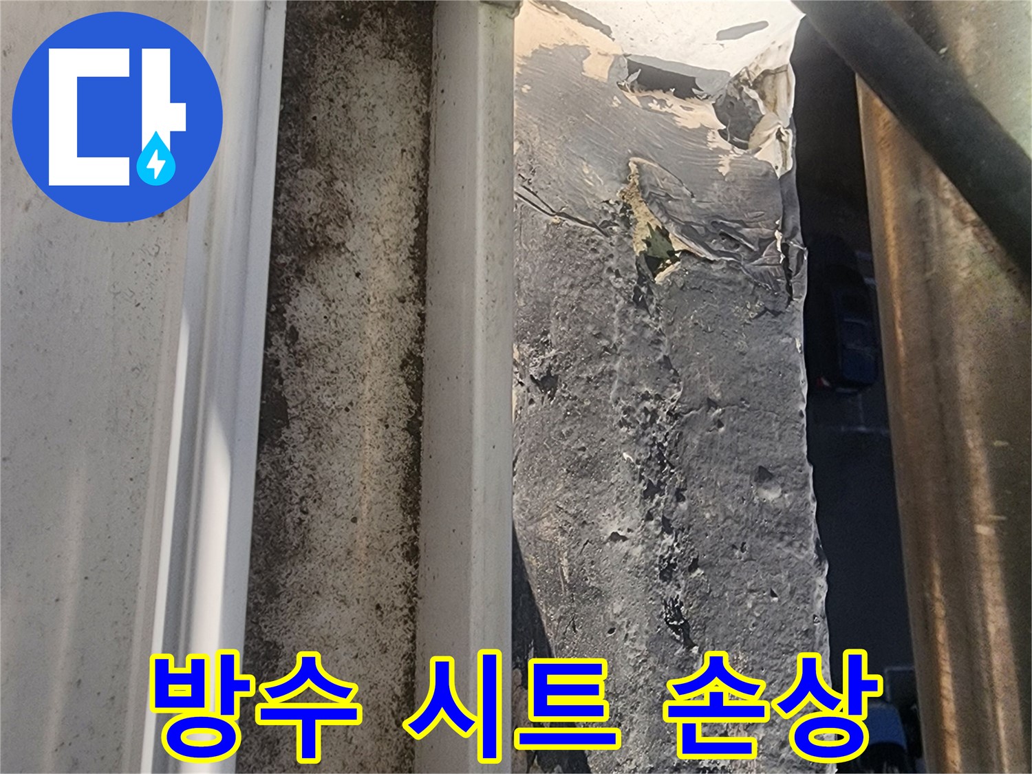 성남 상대원동 누수 - 선경상대원2차아파트 옥상 방수 시트 손상 부위 사진