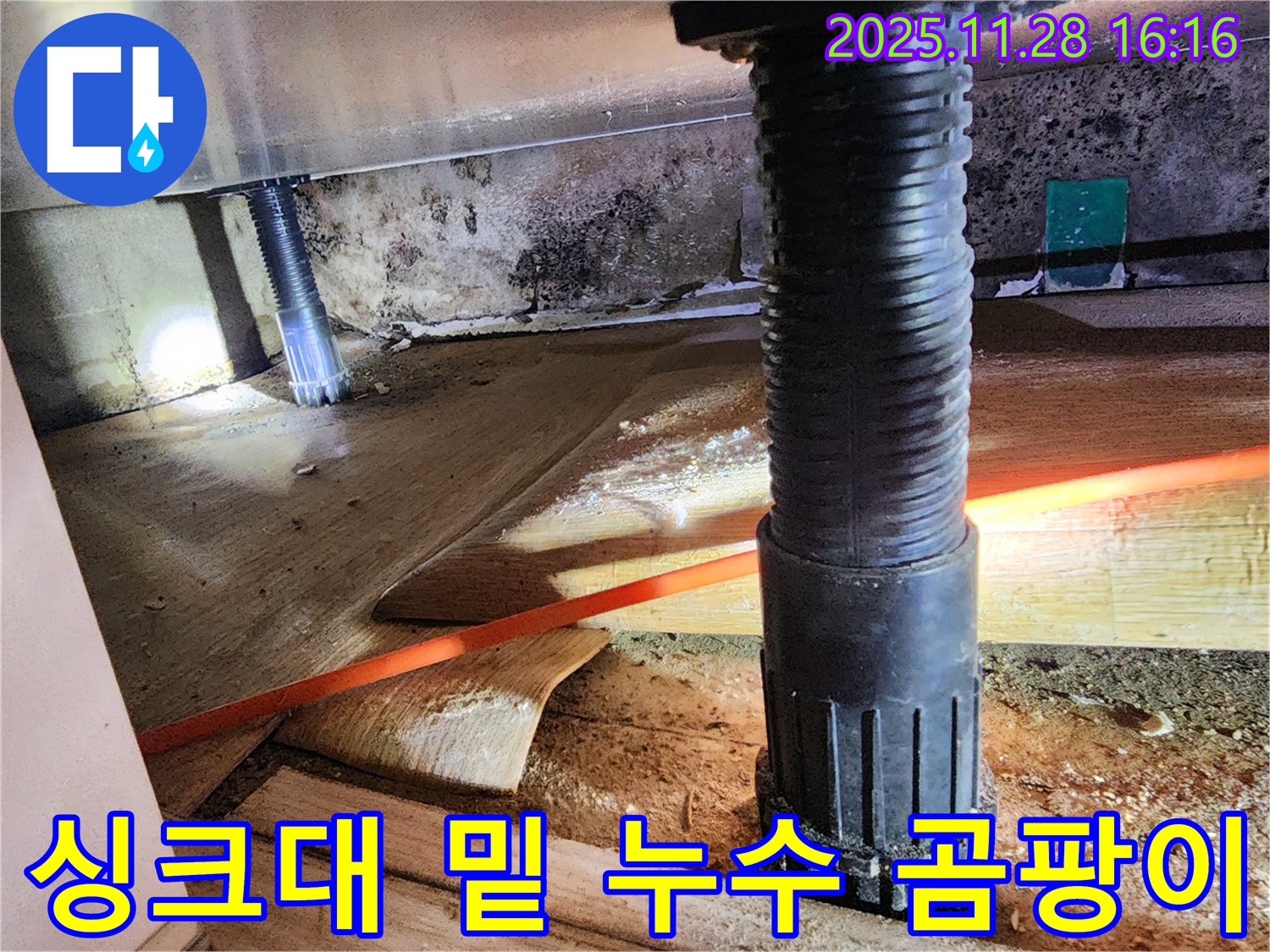 싱크대 밑에서 발견된 누수와 곰팡이 문제 - 포천 신북면 덕둔리 누수 전문가의 해결 과정