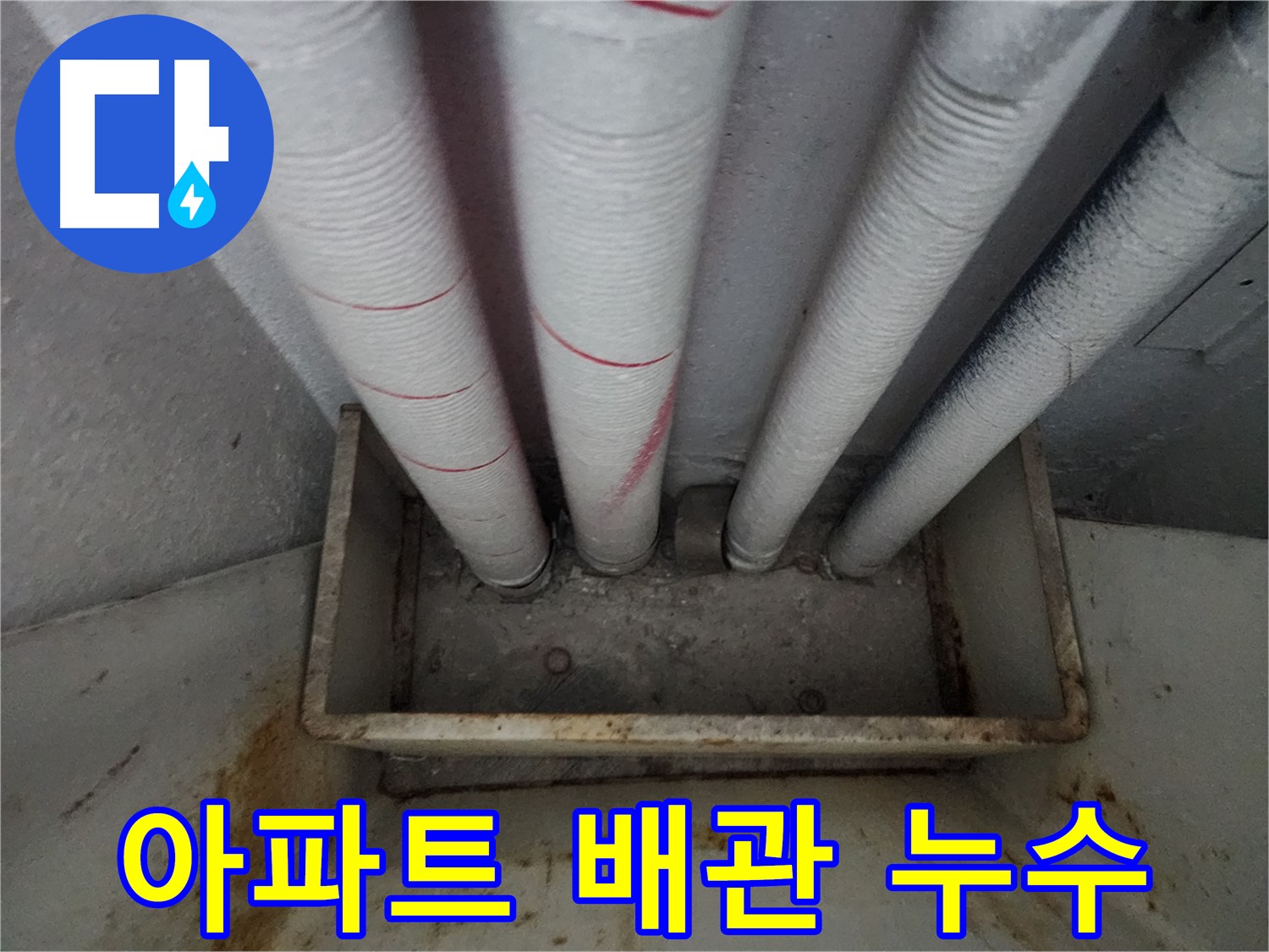 수원 장안구 아파트 배관 누수 - 누수탐지 전문가의 정확한 진단과 신속한 해결