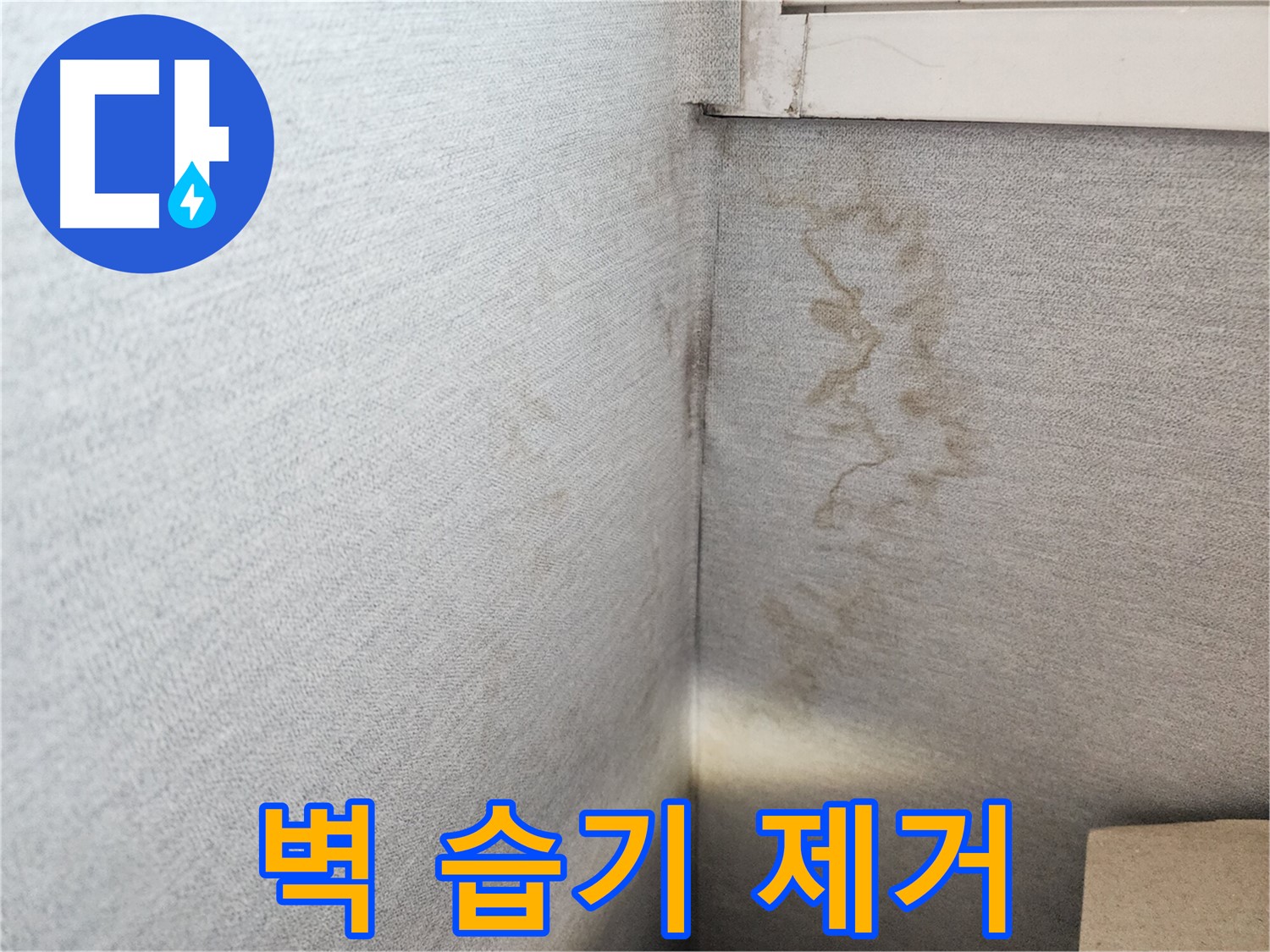 장안구 삼성아파트 누수, 벽면 습기 제거 - 깨끗하고 쾌적한 공간으로 되돌려 드립니다.