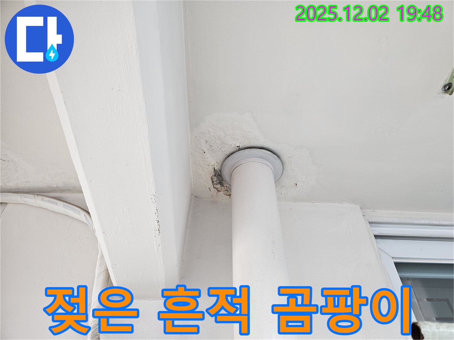 동작구 신대방동 아파트 천장 누수 - 젖은 흔적과 곰팡이 발견