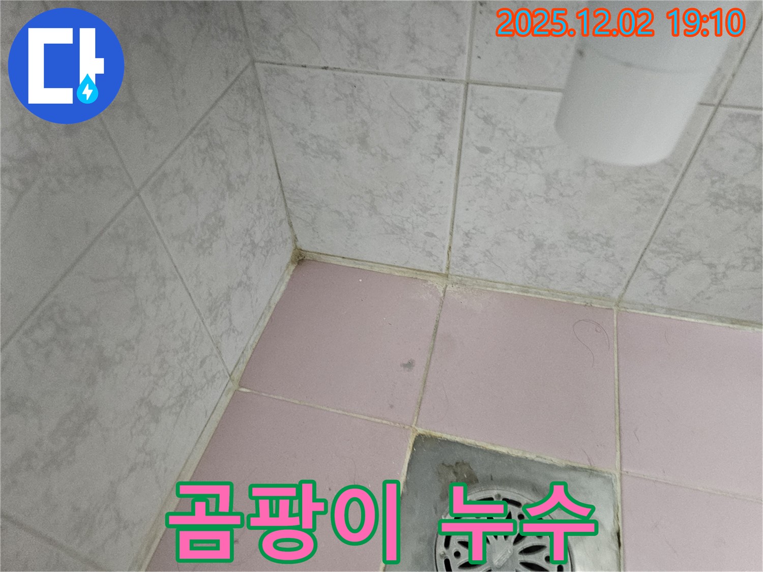 동작구 욕실 - 곰팡이 제거 후에도 곰팡이가 계속 생긴다면 누수를 의심해 봐야 합니다.