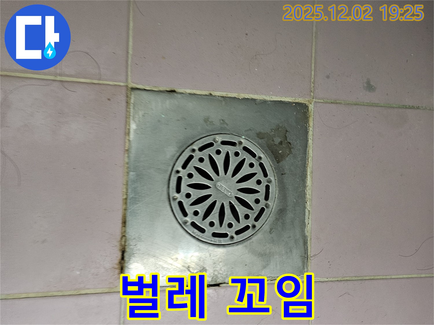 욕실 배수구 주변에 벌레가 꼬임 - 누수와 관련된 습기 때문에 벌레가 꼬였을 수 있습니다.