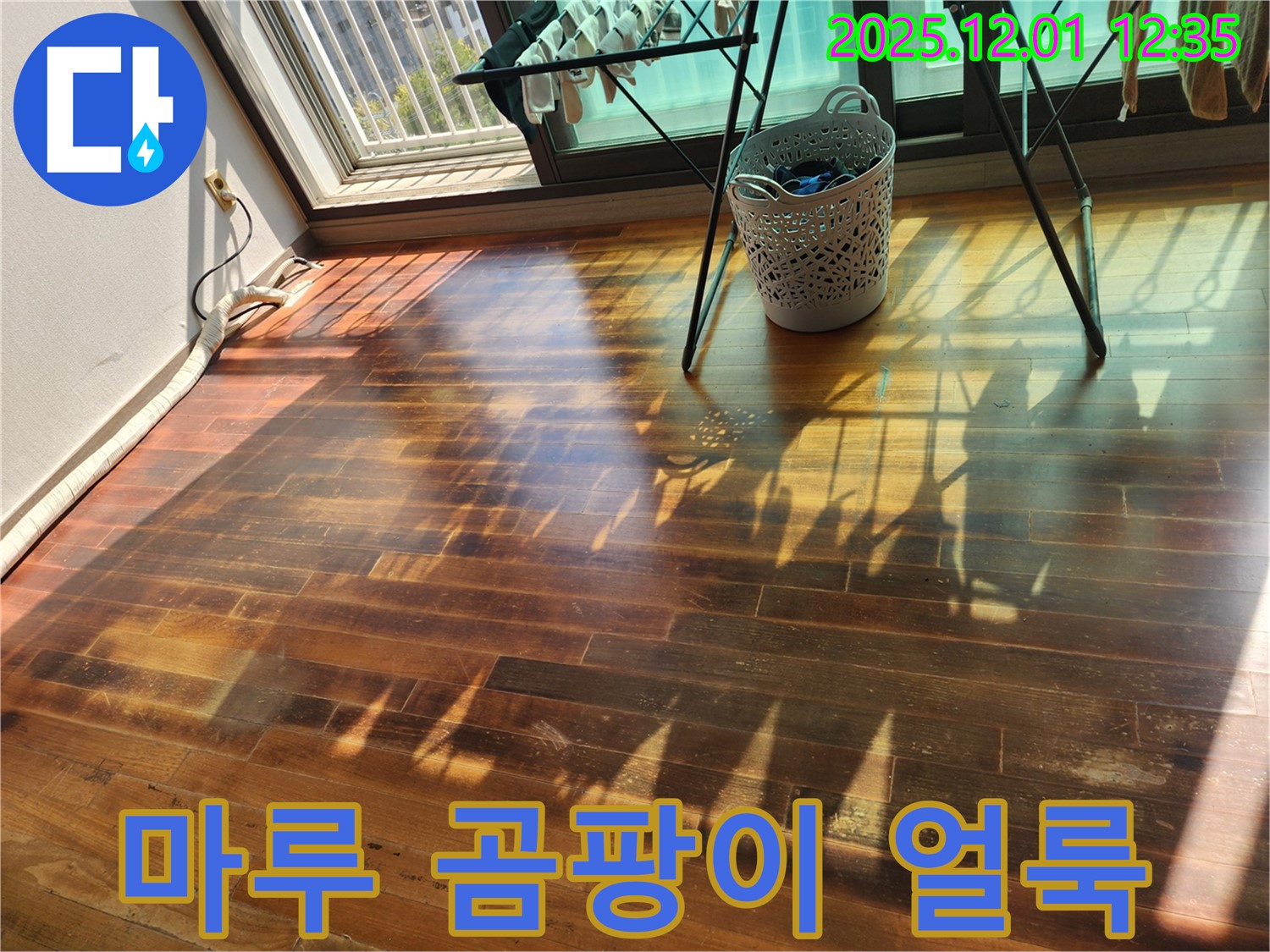 포천 이동면 도평리 주택 마루 곰팡이 얼룩 - 누수탐지 전문 업체가 곰팡이 걱정 없이 깨끗하게 만들어 드립니다.