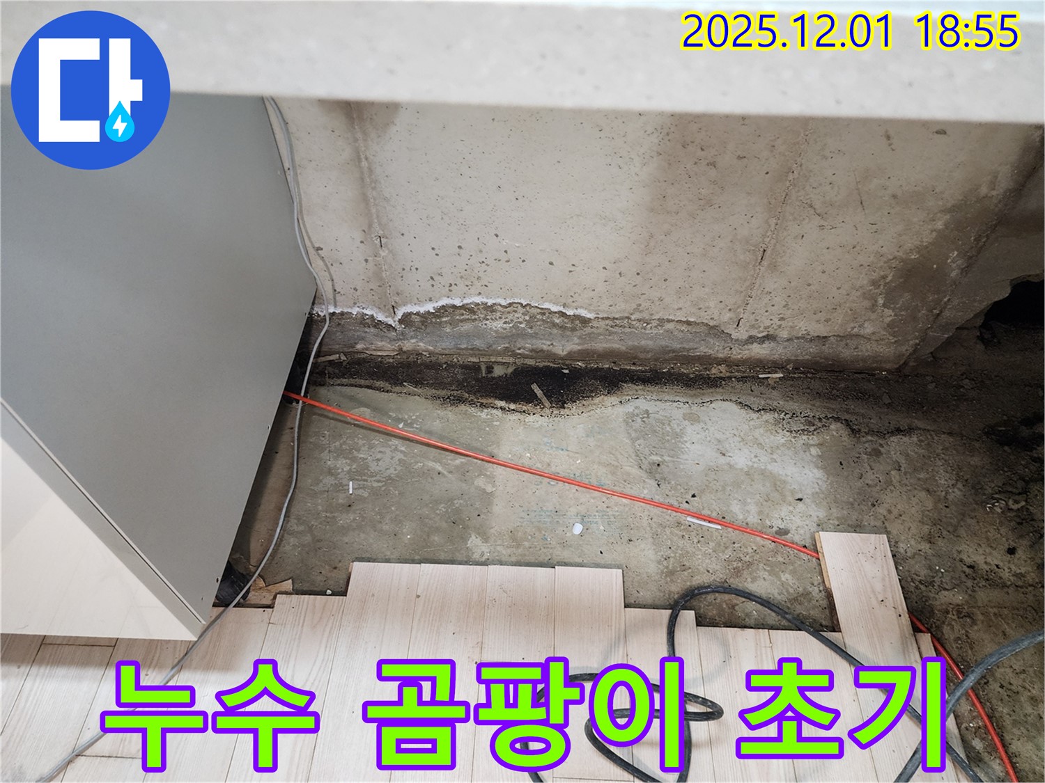 포천 이동면 연곡리 싱크대 누수 - 곰팡이 발생 초기 긴급 점검