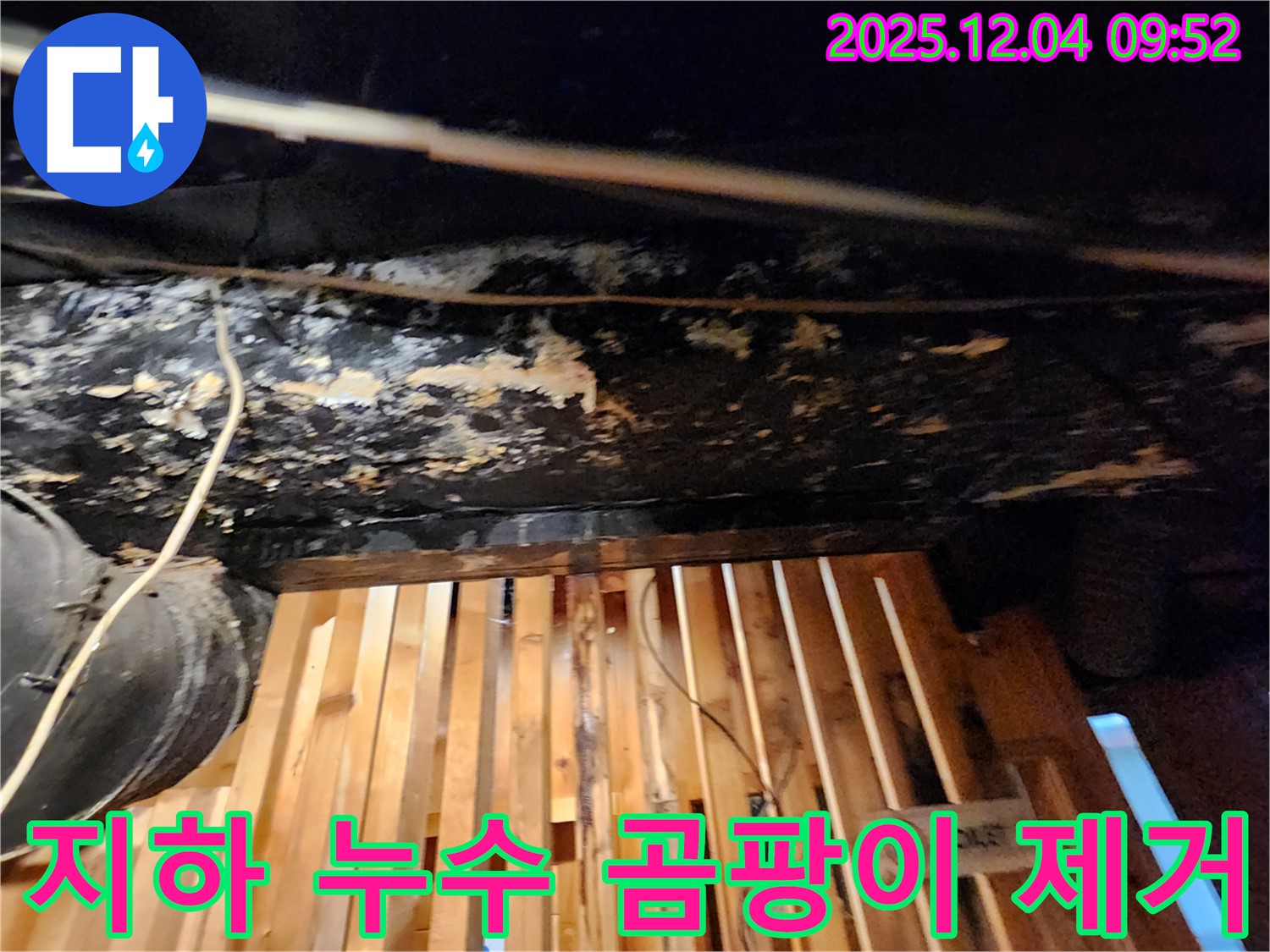 마조로 건물 지하 누수 - 곰팡이 완벽 제거! 쾌적한 공간으로 변신 완료