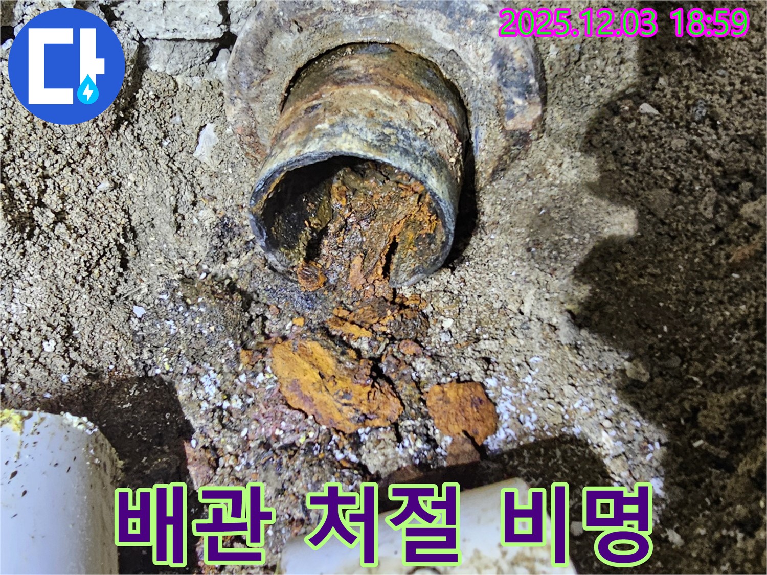 안양 프라자아파트 206동 누수 현장 - 낡은 배관의 처절한 비명! 누수 해결 특공대 출동 준비 완료!