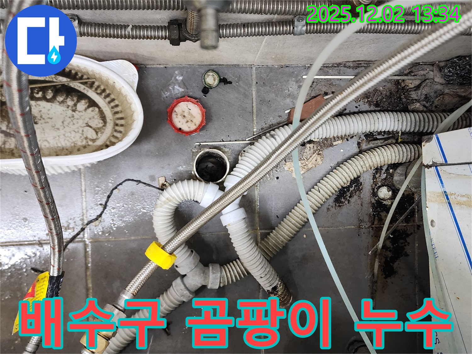 싱크대 배수구 주변 곰팡이 - 누수 원인 제거 및 곰팡이 청소