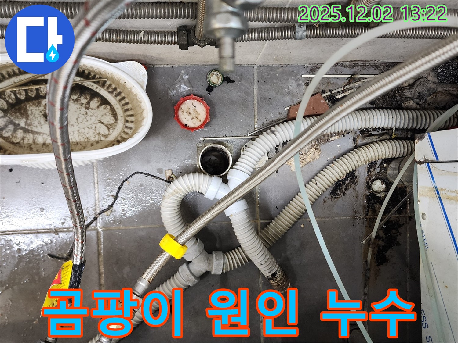 포천 누수 - 노곡리 싱크대 배수관 주변 곰팡이 원인