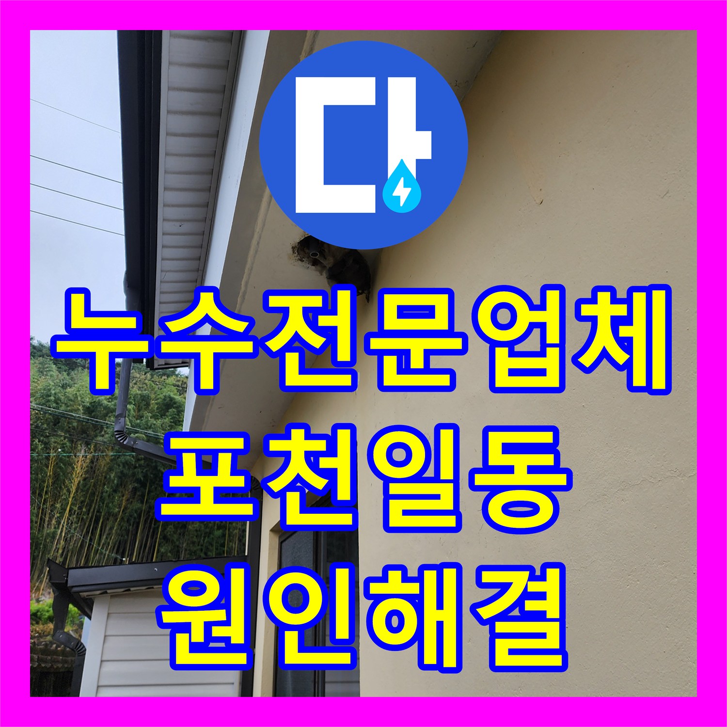 누수전문업체 싱크대 배수관 파손으로 인한 지하 천장 습기 해결 포천시 일동면