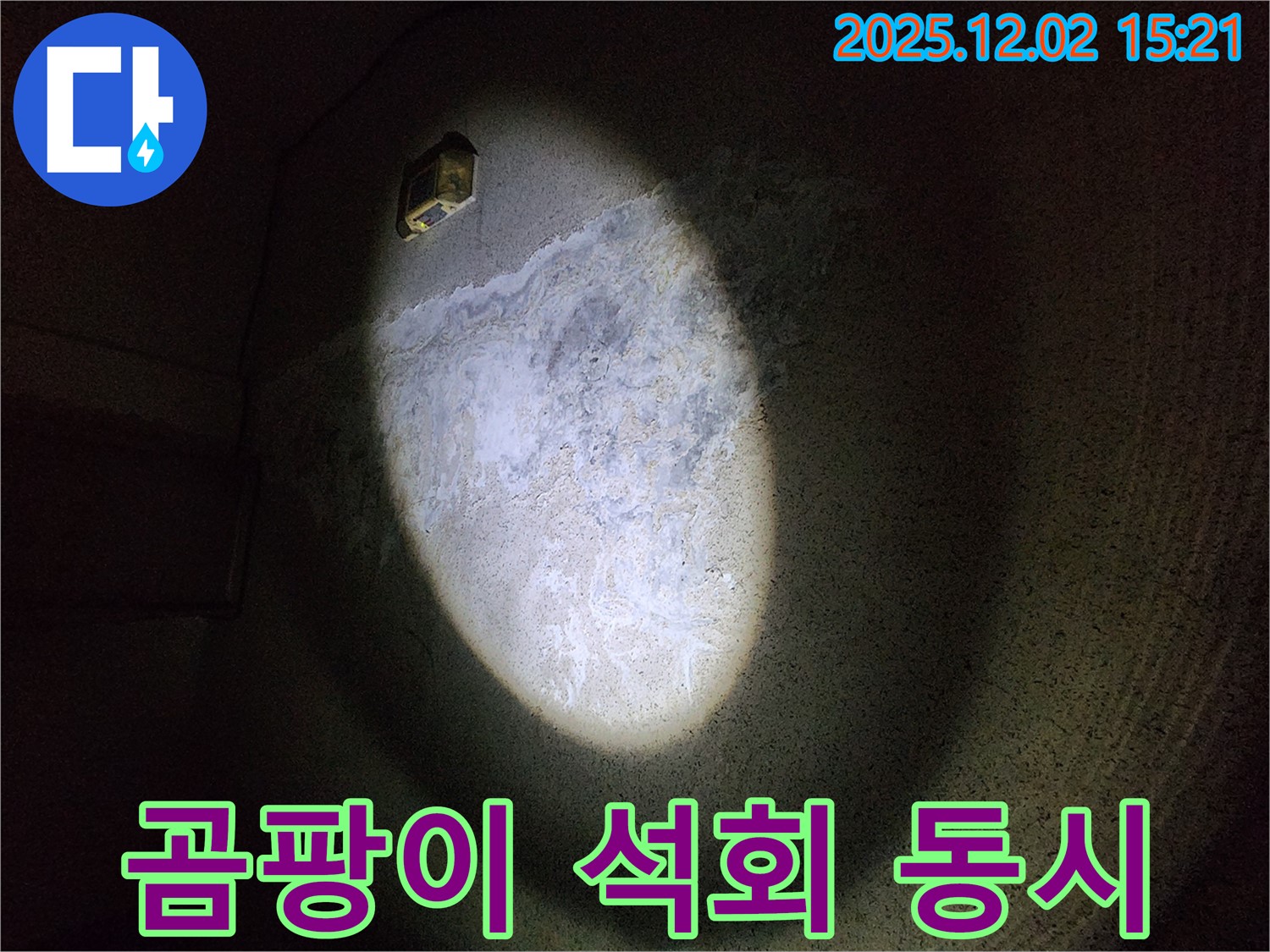 벽에 곰팡이와 석회가 동시에 발생했다면 - 건물에 심각한 문제가 있다는 신호입니다