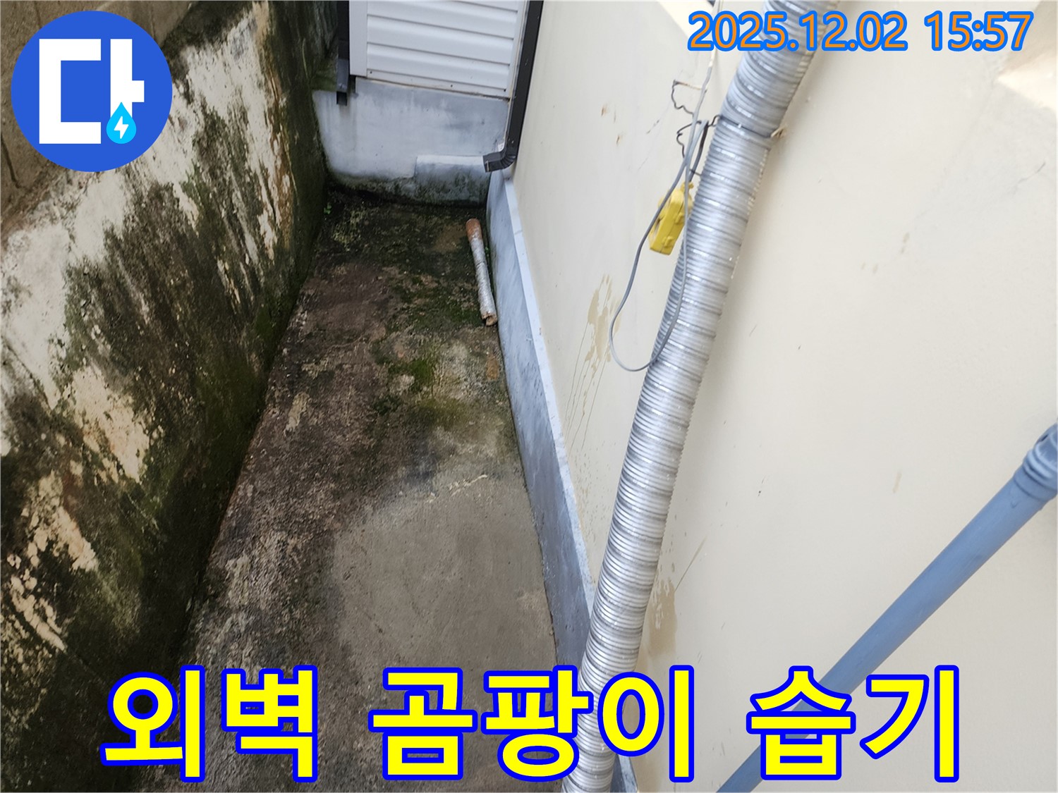 외벽 곰팡이와 습기 - 배수 문제, 꼼꼼한 원인 분석과 완벽한 해결 약속