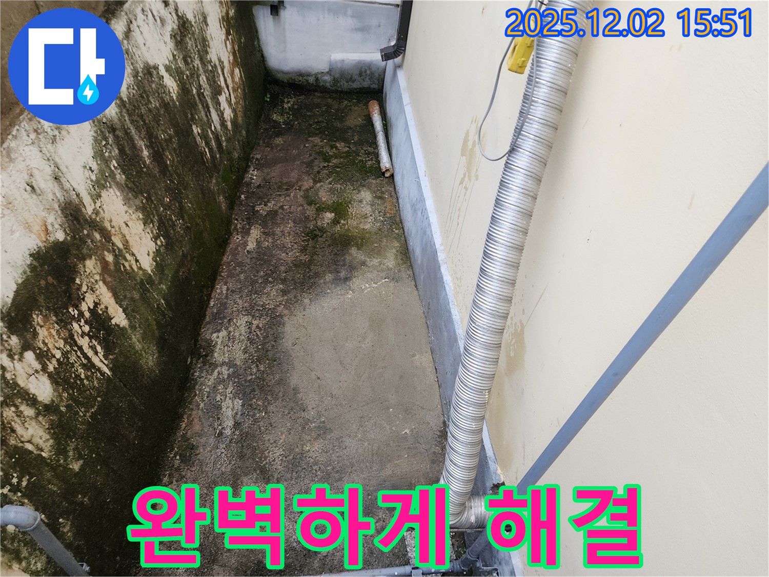 일동면 좁은 공간 곰팡이 제거 - 완벽한 시공으로 곰팡이, 냄새, 습기 문제 해결!