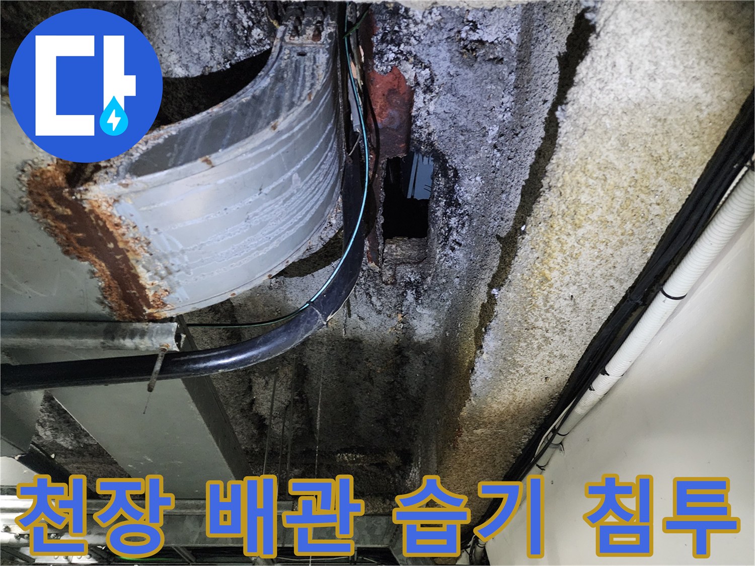 천장 배관부위-습기가 스며든 금속관과 콘크리트