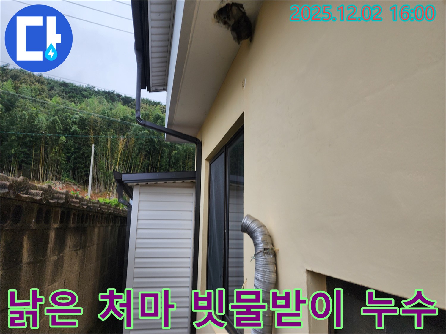 포천시 일동면 금주리 주택 낡은 처마 및 빗물받이 파손으로 인한 누수 긴급 해결 - 처마 및 빗물받이 교체 긴급 진행 예정