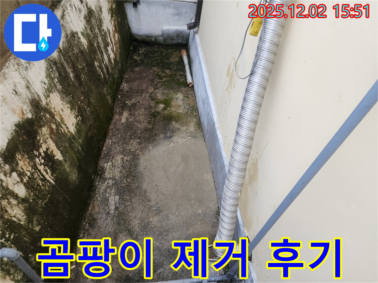 포천시 일동면 좁은 공간 곰팡이 제거 - 습기 문제 해결로 쾌적한 환경!