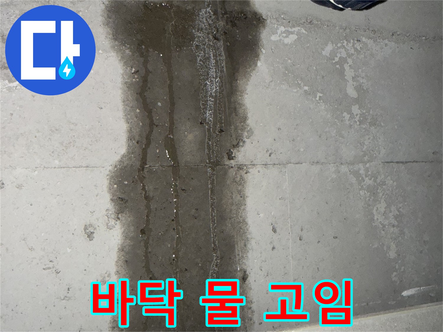동두천 지행동 아파트 누수 - 바닥에 고여있는 물