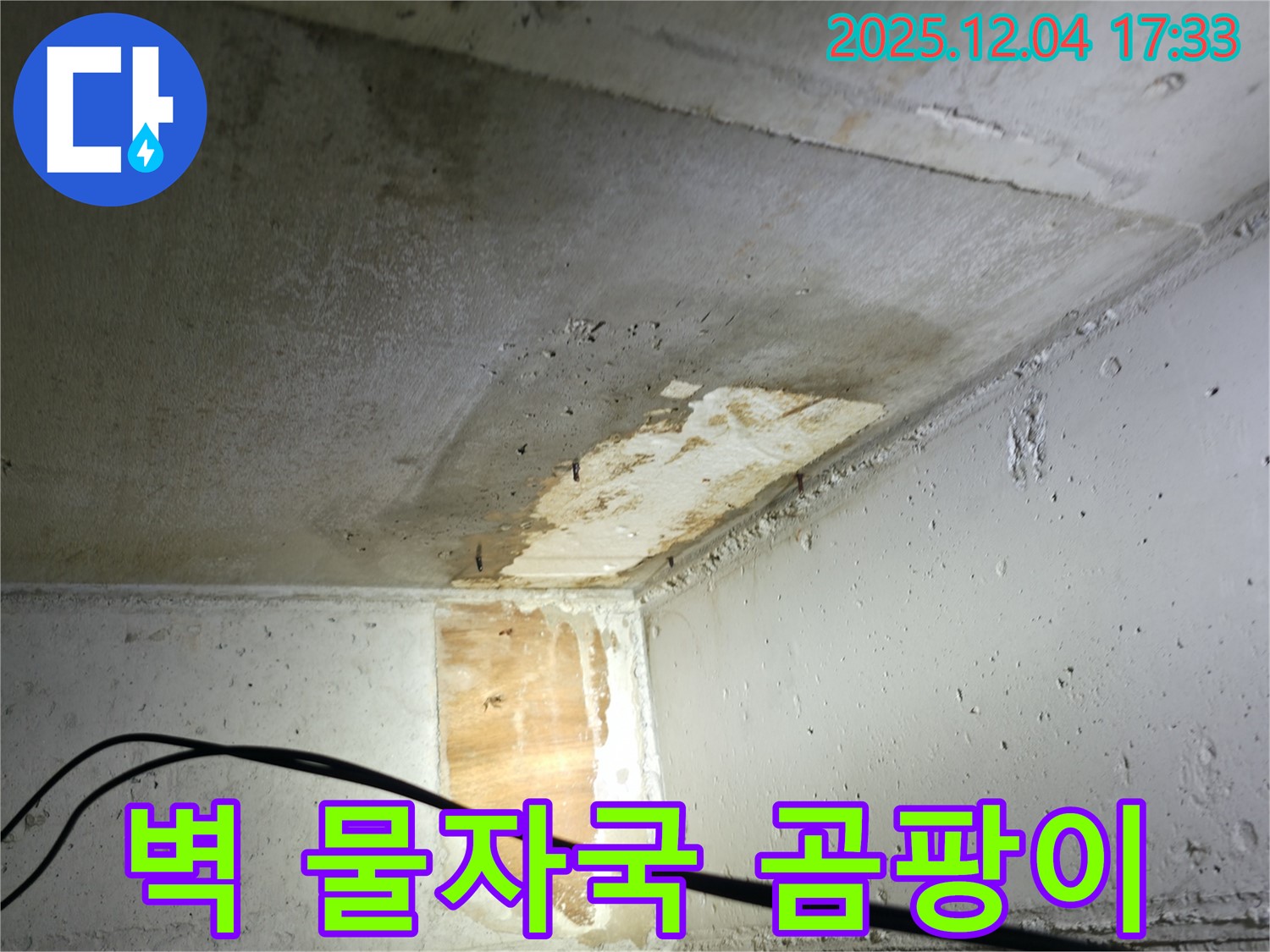 의왕시 능안길 백운그린힐 아파트 누수 - 벽에 생긴 물자국과 곰팡이