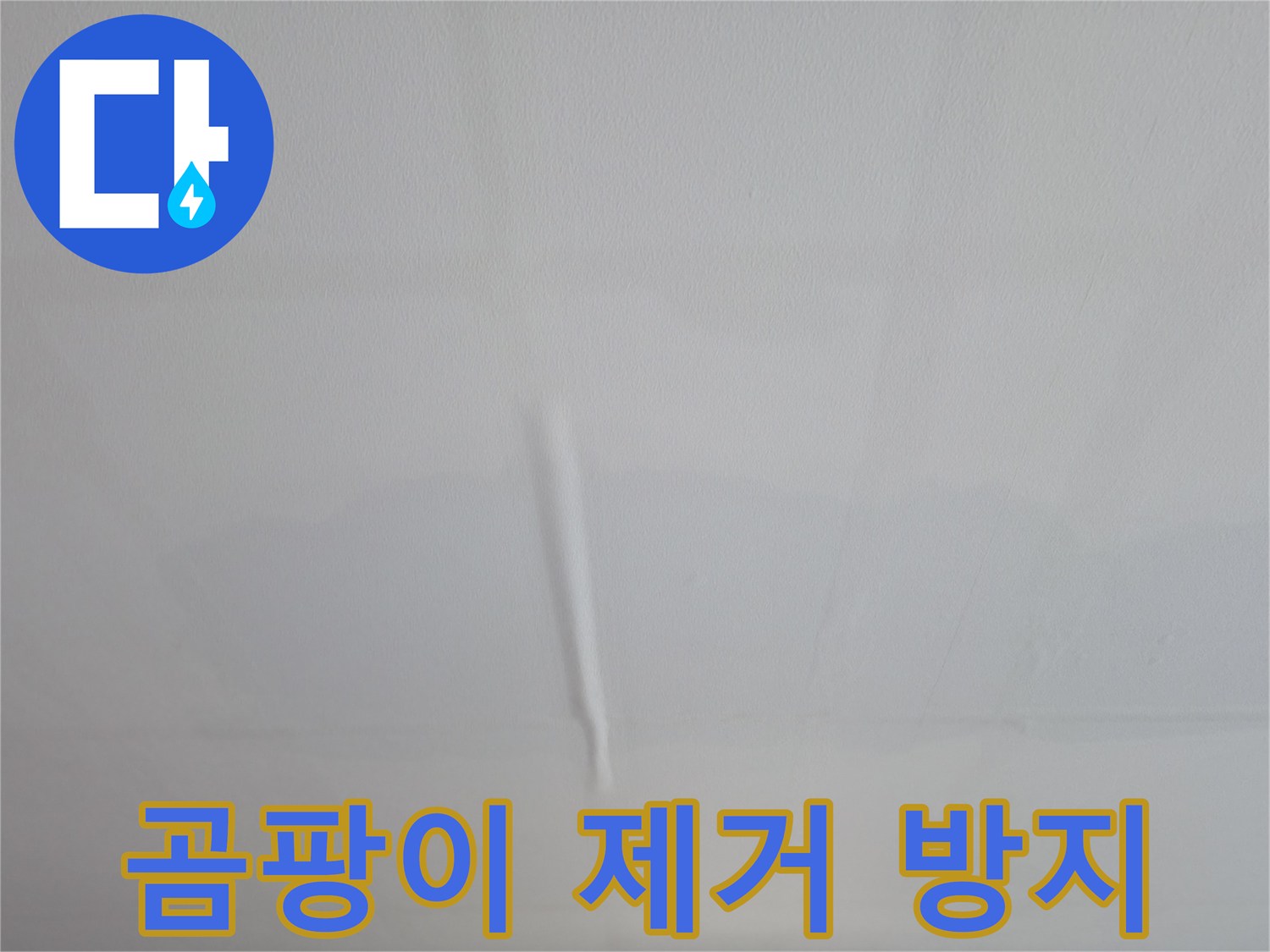 의왕시 능안동 백운그린힐 아파트 벽 곰팡이 - 완벽 제거 및 곰팡이 방지 시공